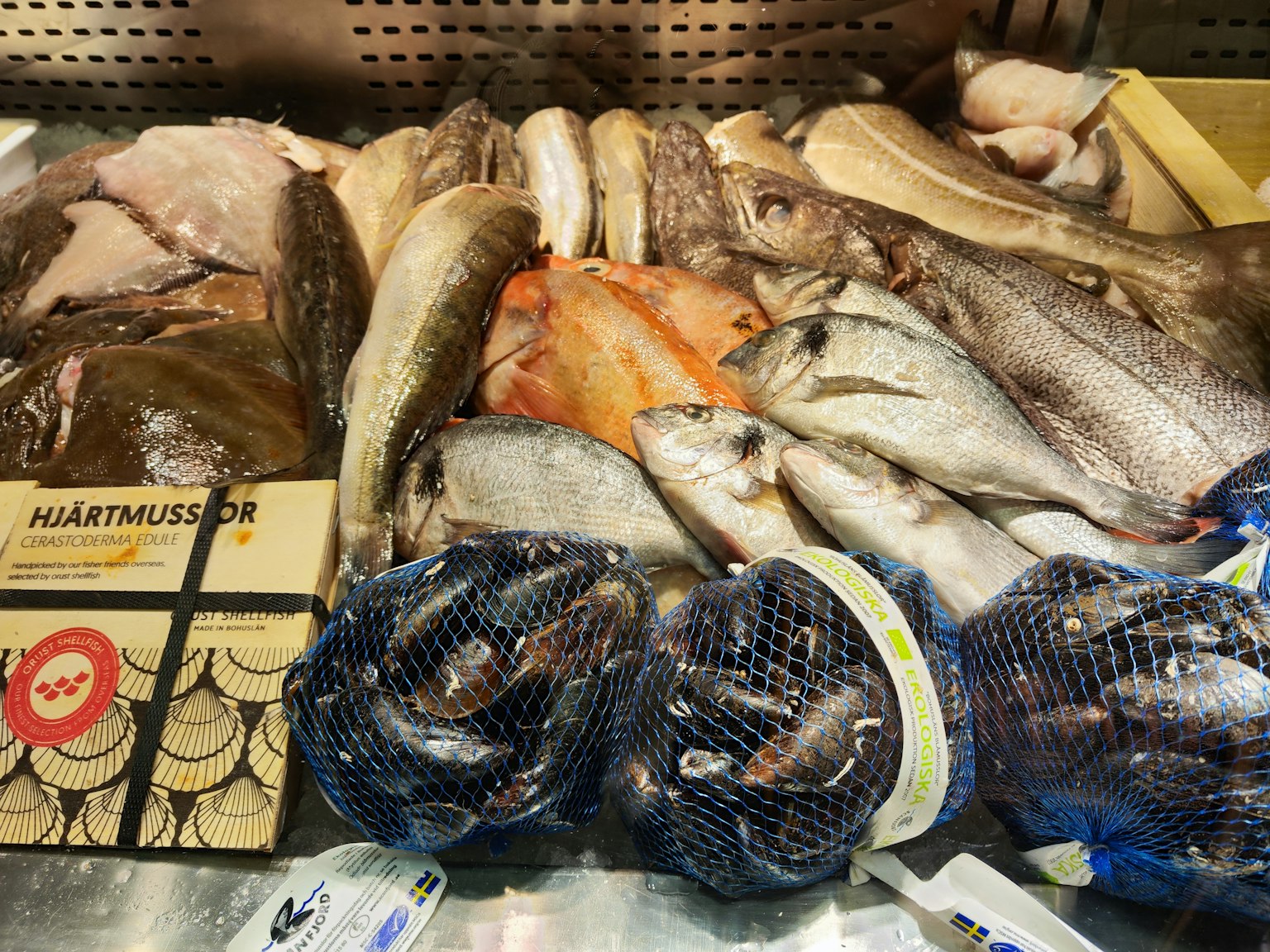 Display of fresh fish and shellfish at a market