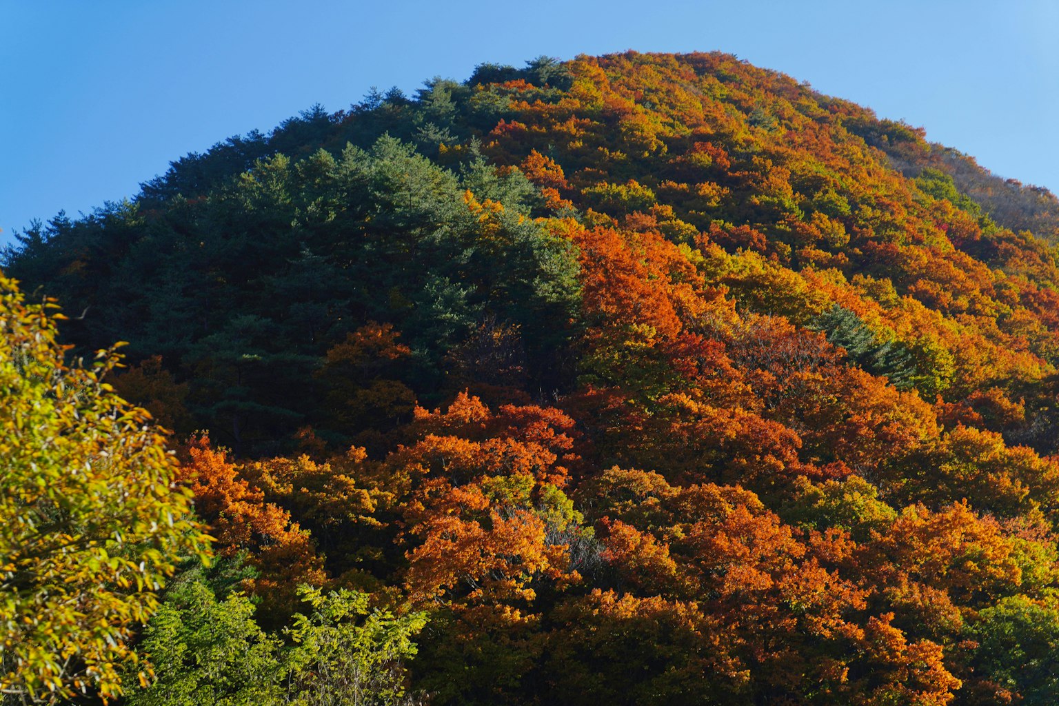Berglandschaft geschmückt mit Herbstfarben
