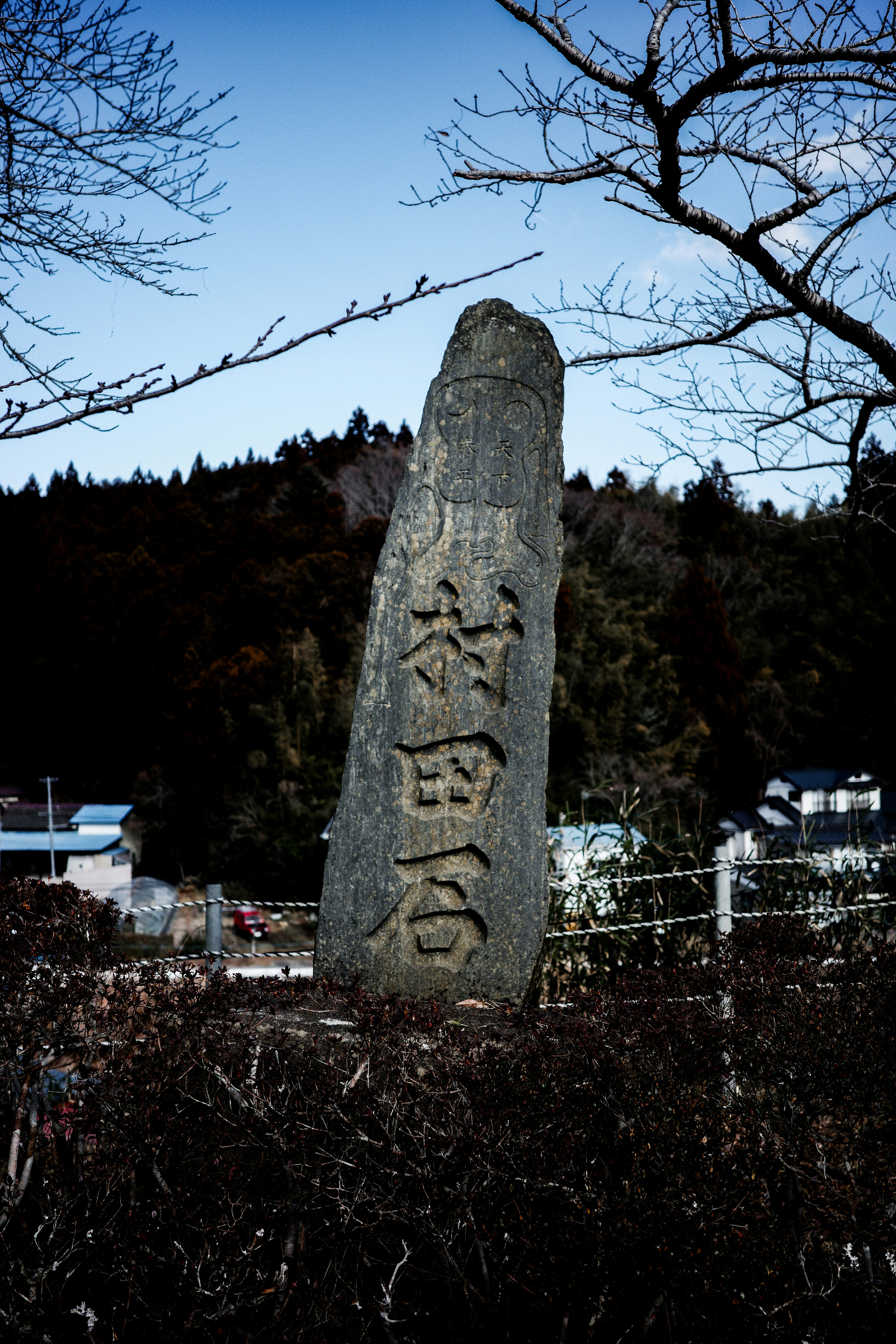 木々の間に立つ石碑と冬の空の下の墓地風景