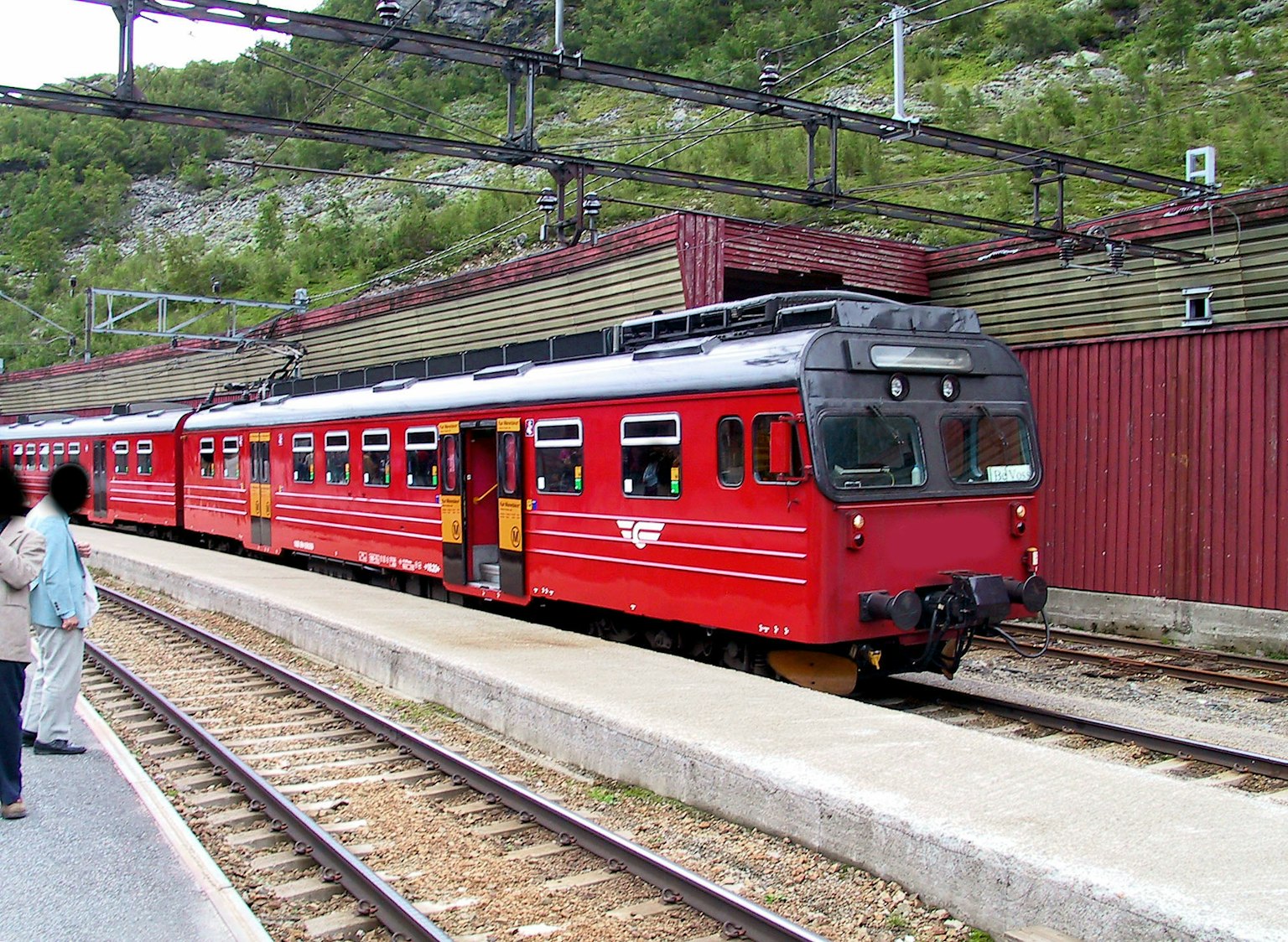 Red train arriving at a station surrounded by greenery