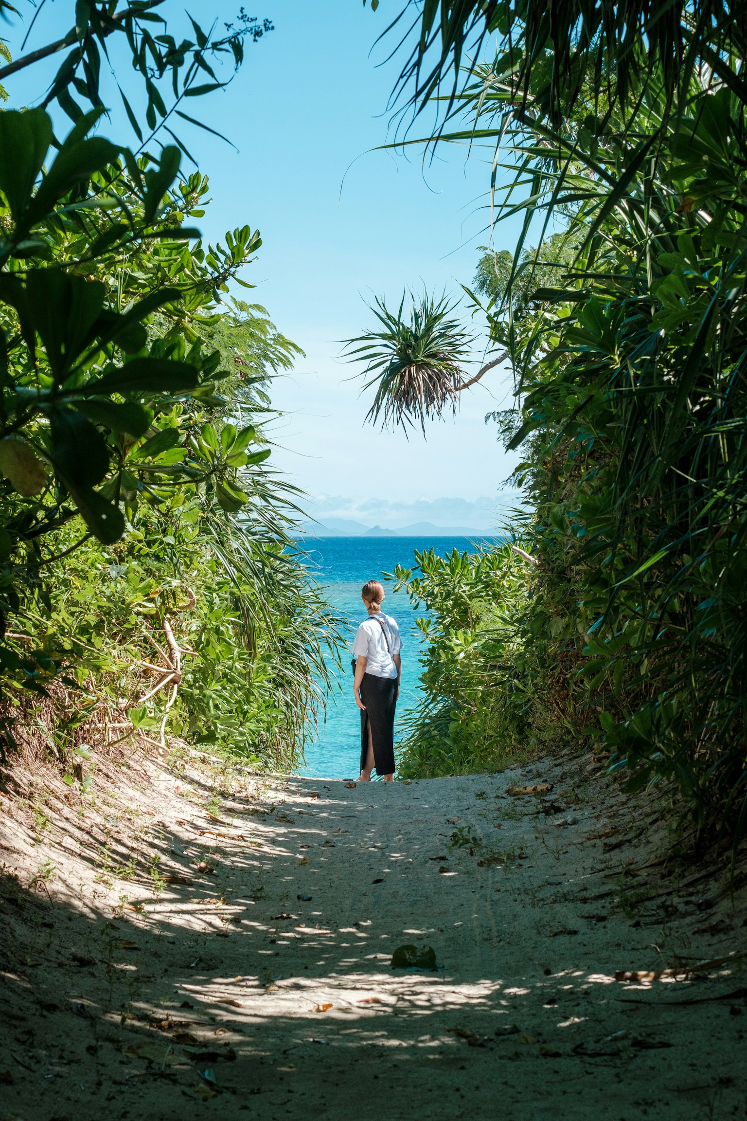 A pathway surrounded by green plants leading to a blue ocean