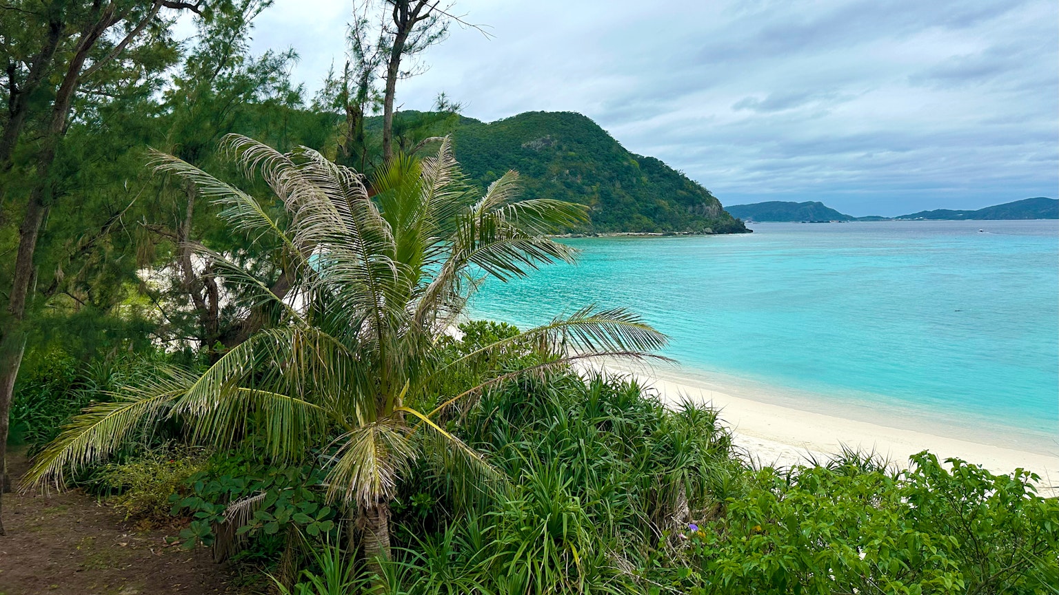 ทัศนียภาพสวยงามของชายหาดที่มีน้ำสีฟ้าครามล้อมรอบด้วยพืชพรรณเขียวชอุ่มและต้นปาล์ม