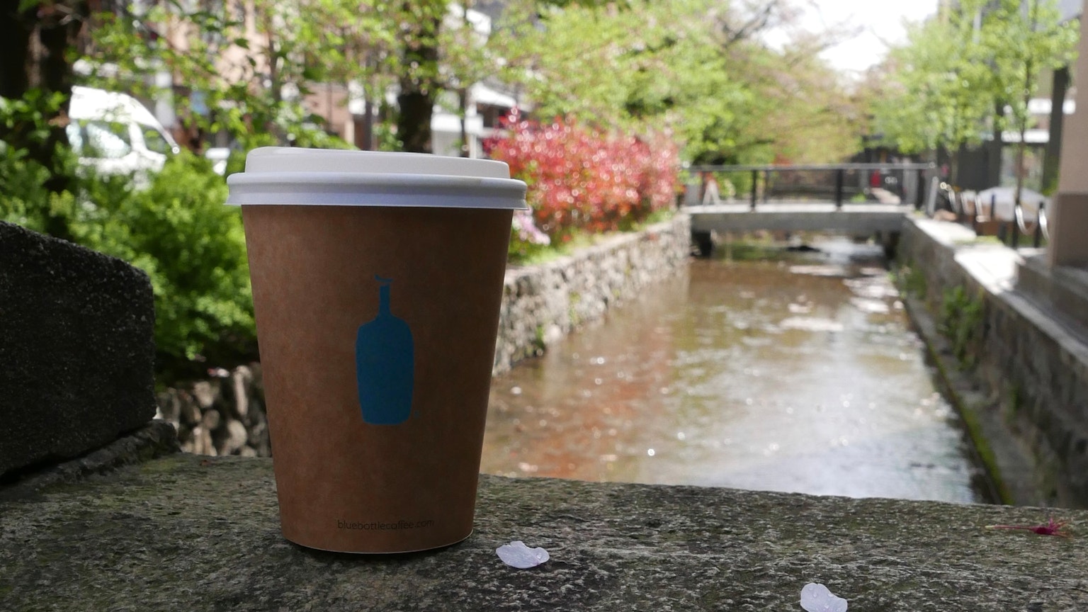 Tazza di caffè posata vicino a un ruscello con vegetazione sullo sfondo