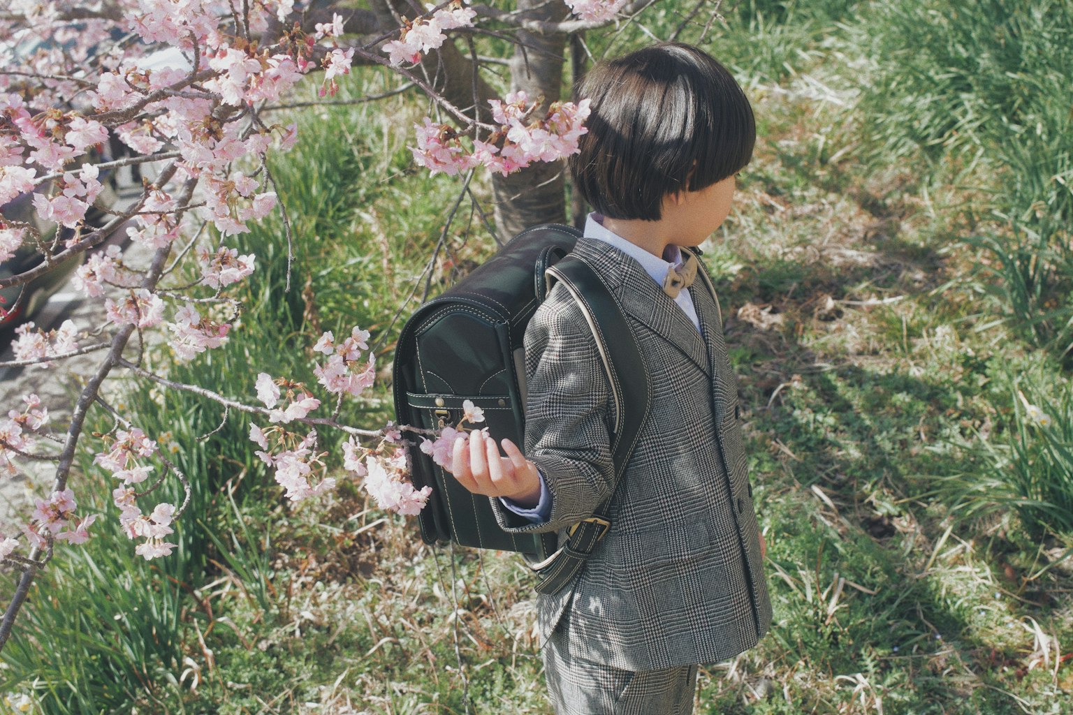 A boy in a suit holding a camera stands under a cherry blossom tree with a backpack