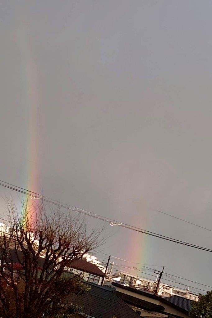 Arcobaleno nel cielo serale con cavi elettrici e tetti