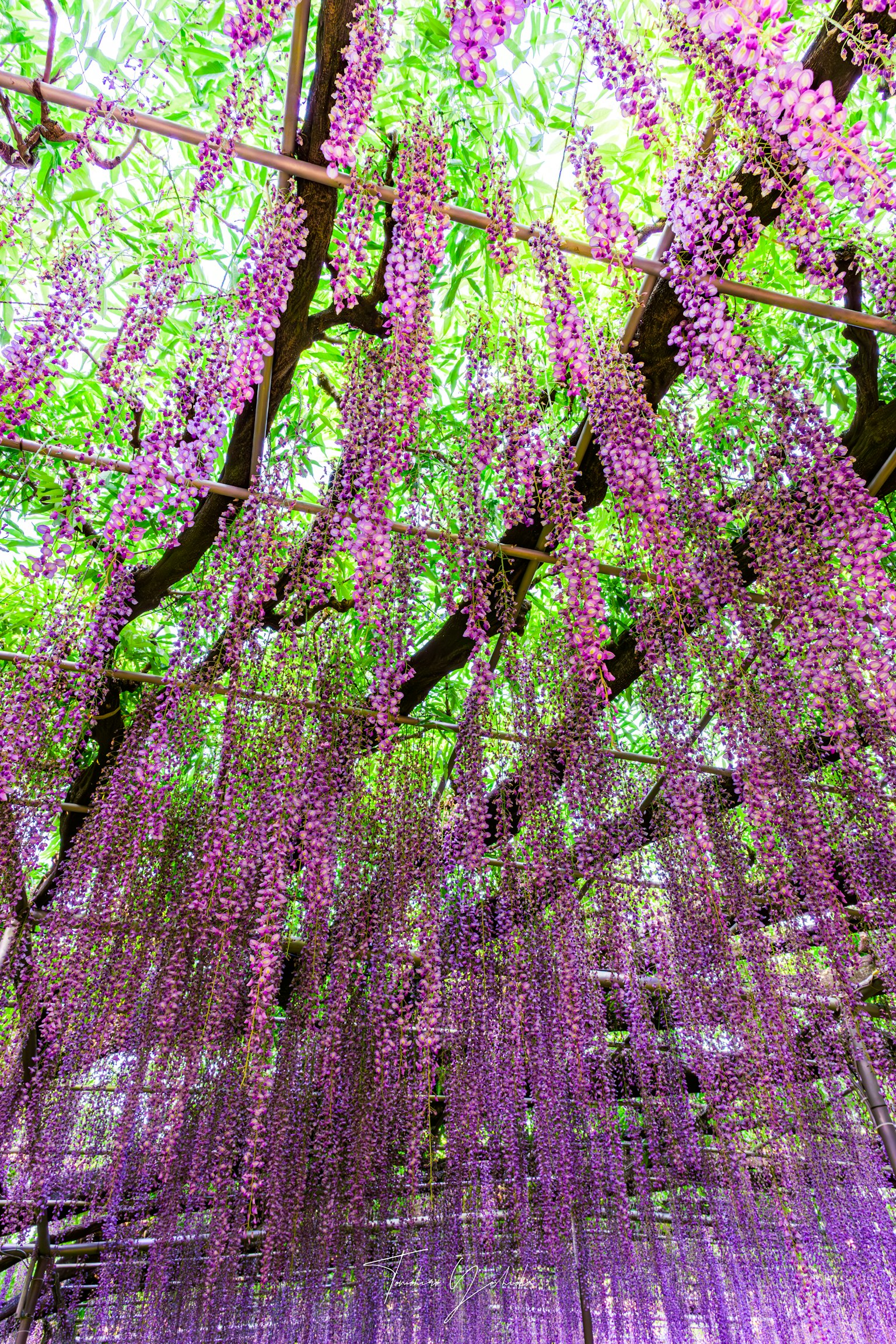 photo-QKdp0MWXGzBrp0Q3iq2J-image