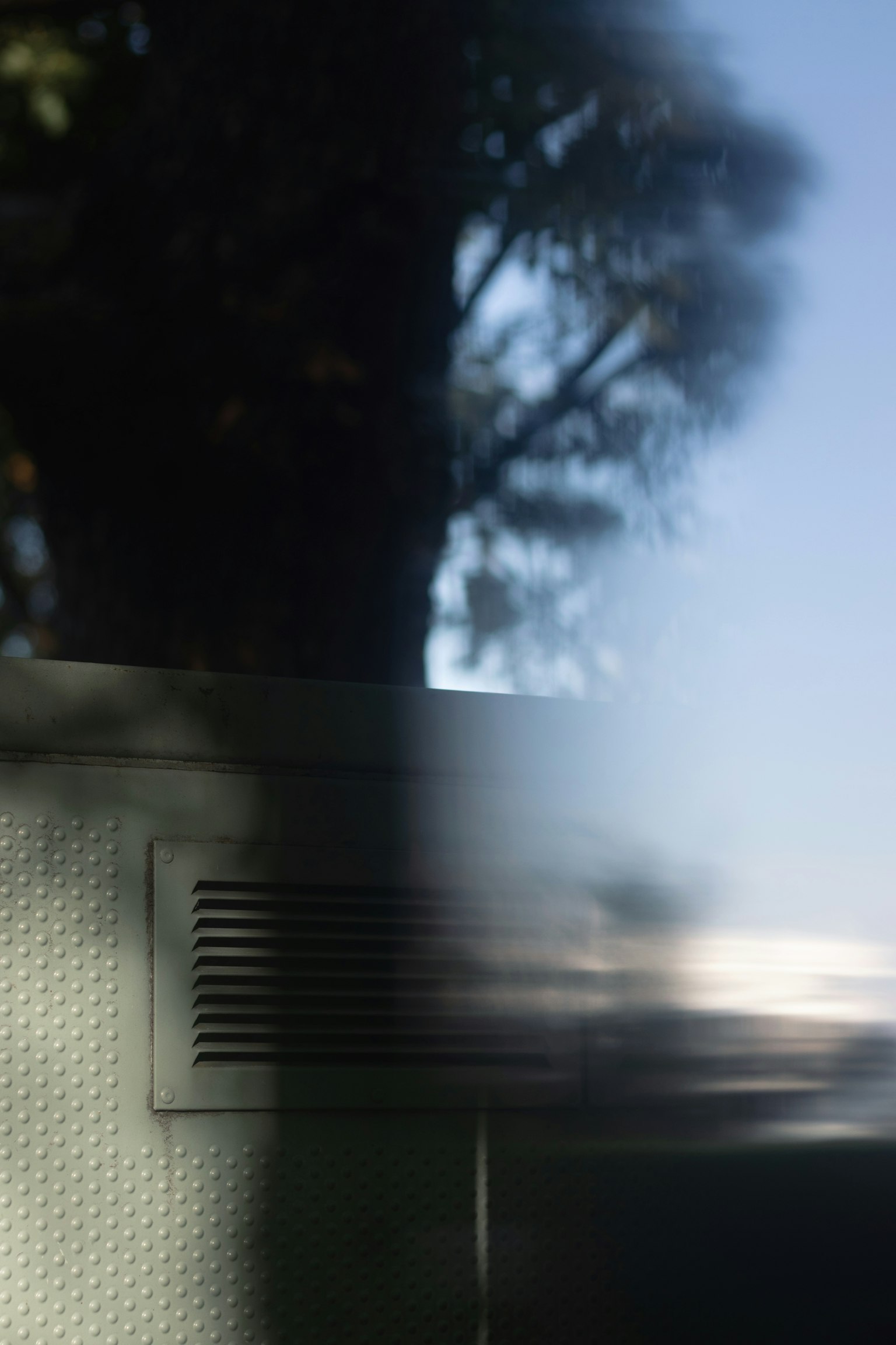 Blurred background featuring blue sky and tree silhouette