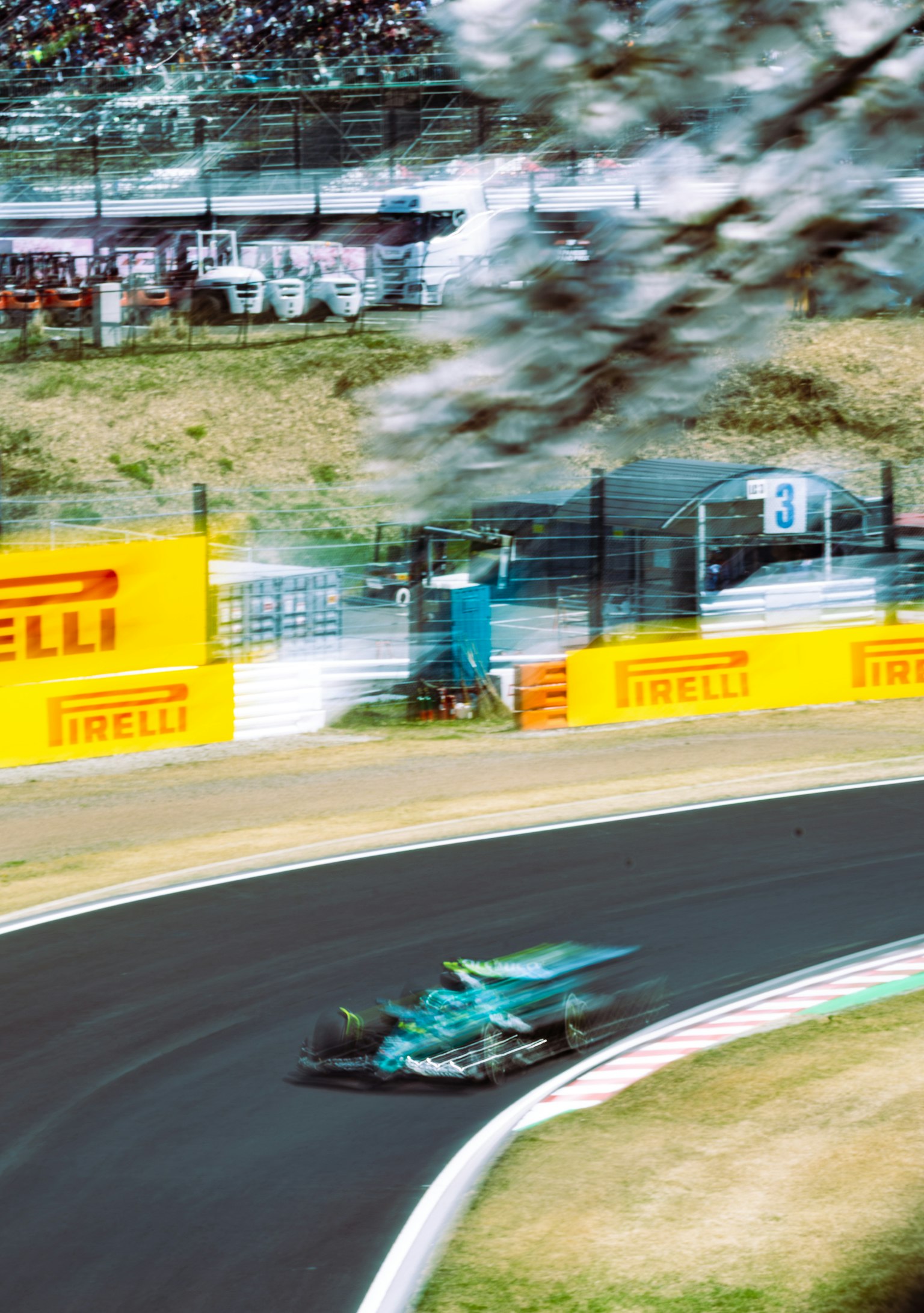 F1-Auto fährt auf einer kurvenreichen Strecke mit blühenden Kirschbäumen im Hintergrund