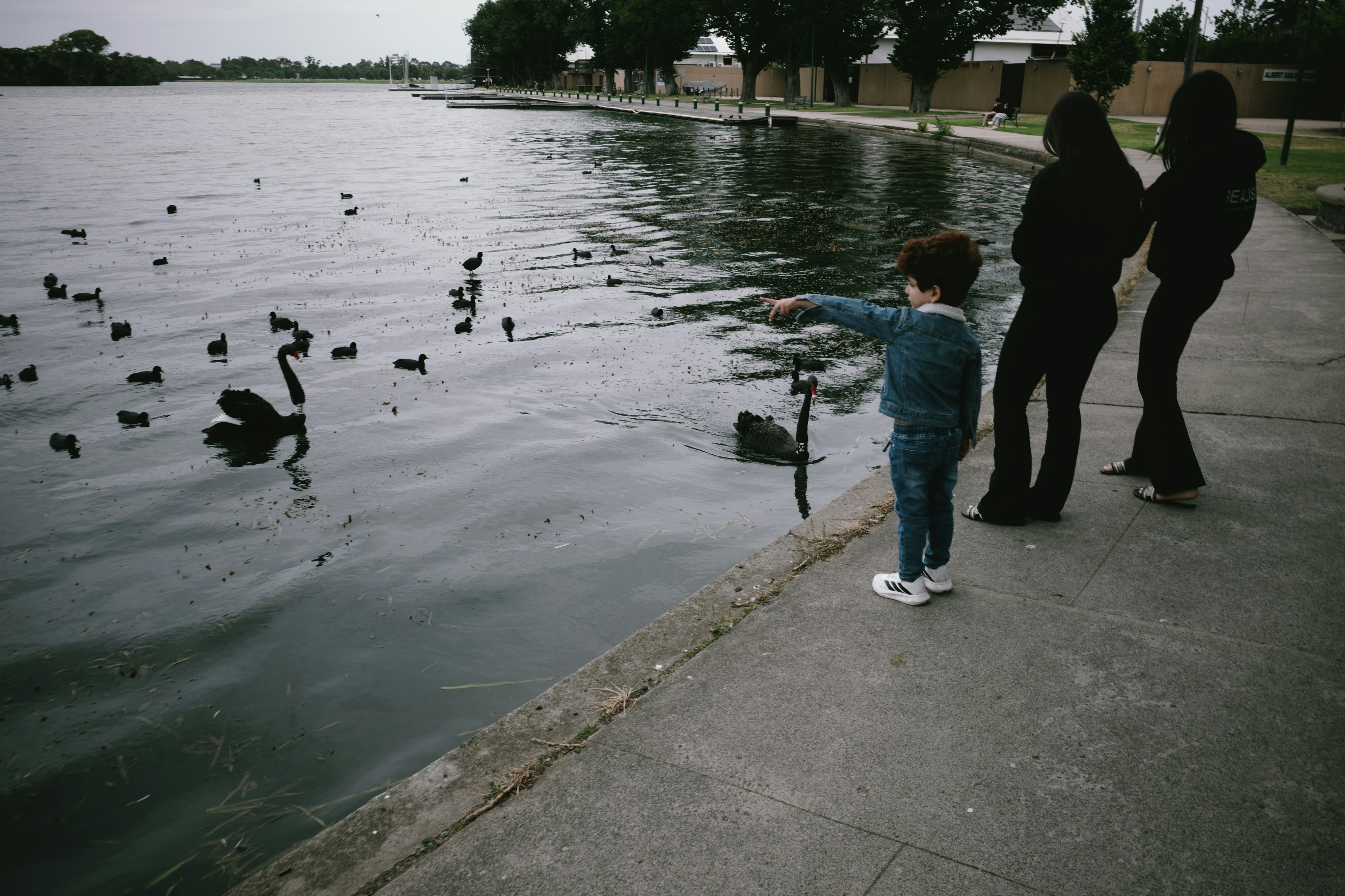 子供が水辺で白鳥に手を伸ばしている様子と大人の二人が見守っている風景