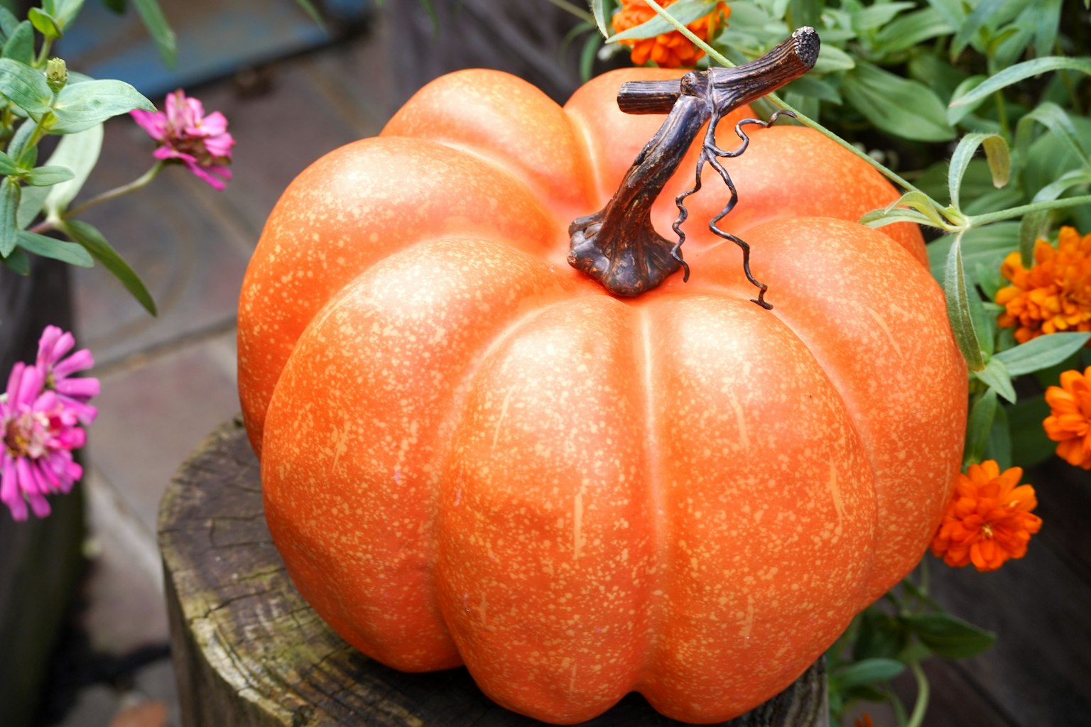 Zucca arancione vivace posizionata tra fiori colorati