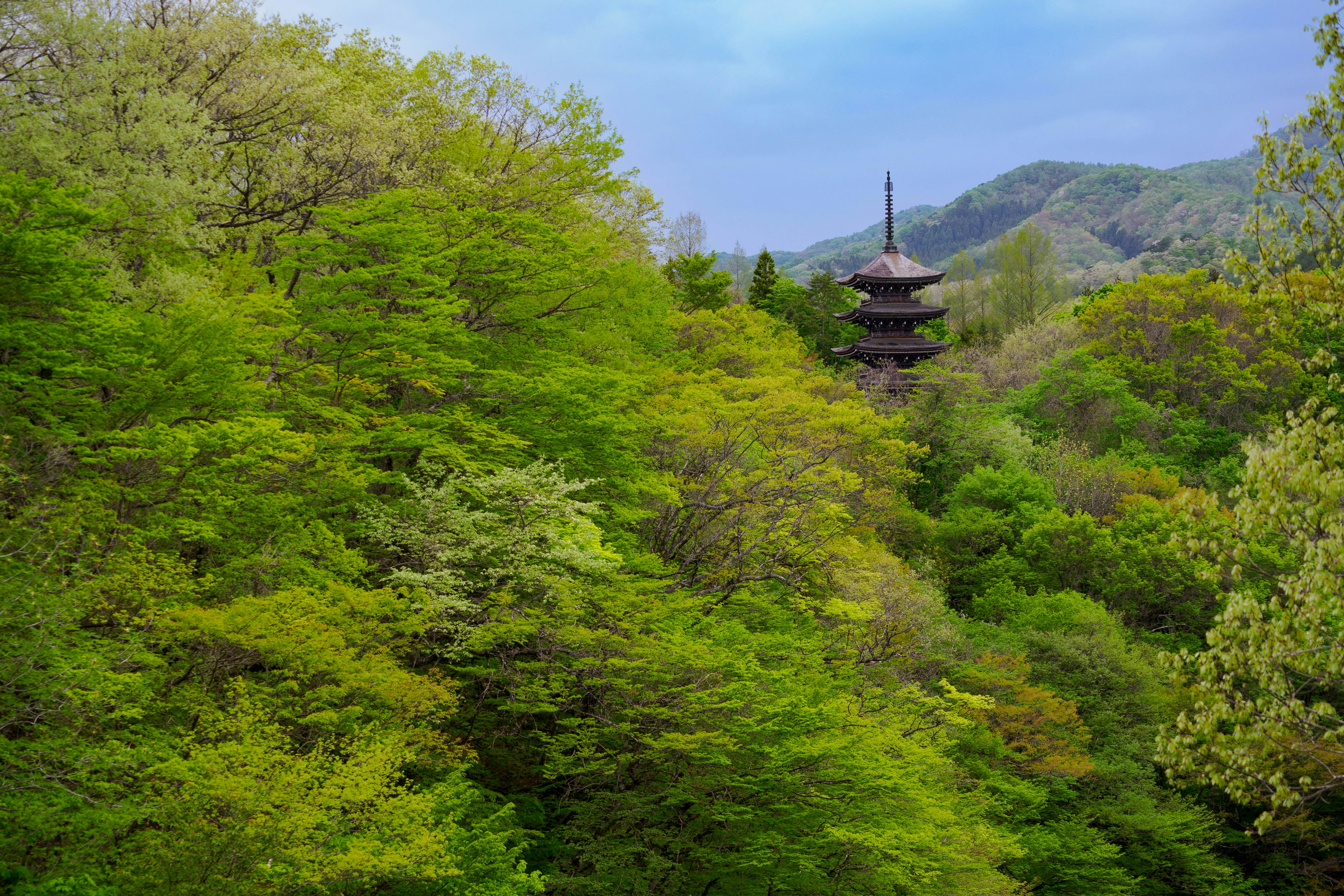 宮城県定義山の緑の山並みと多層の寺院
