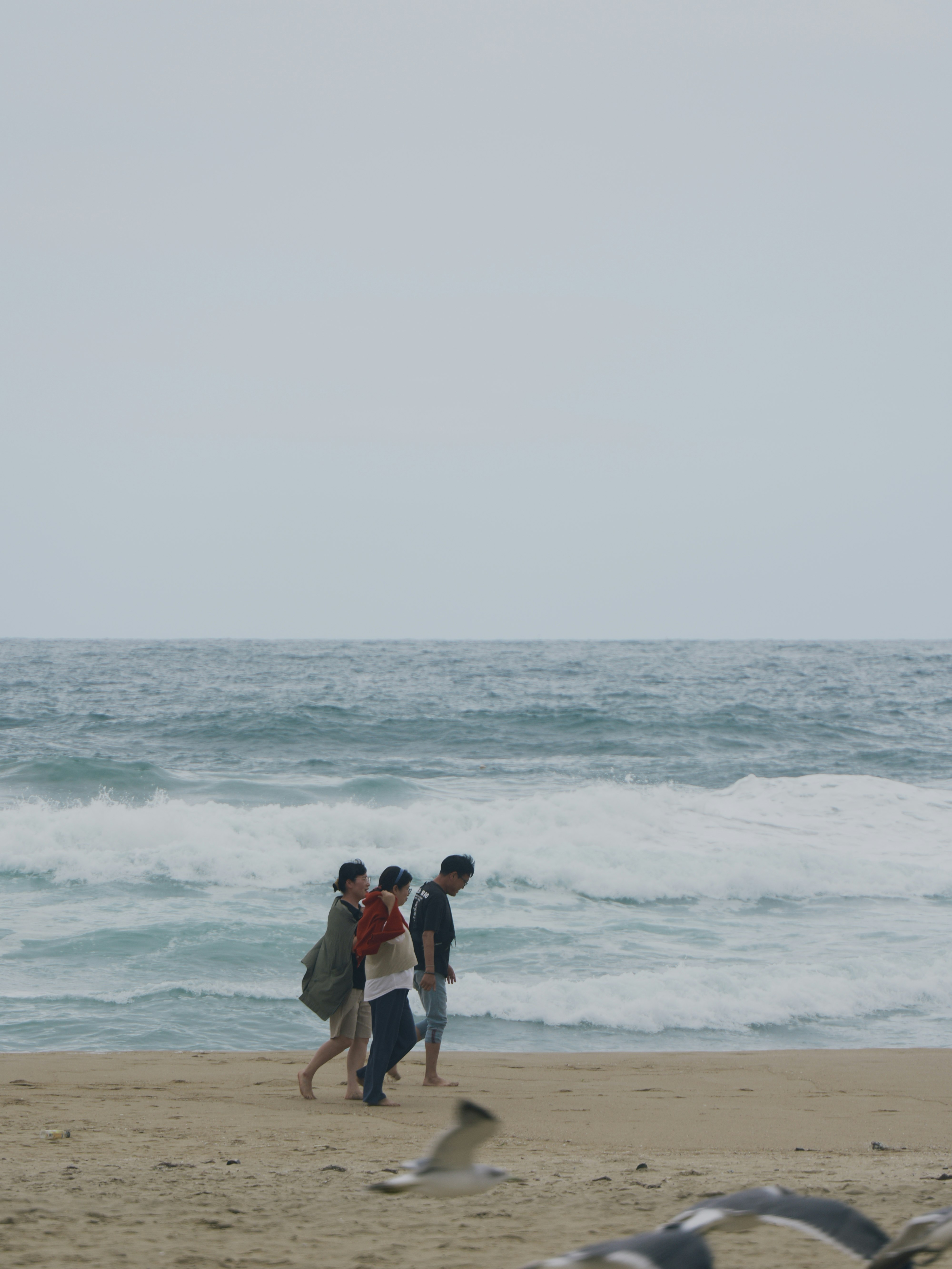 海辺を歩く人々と波打ち際の砂浜