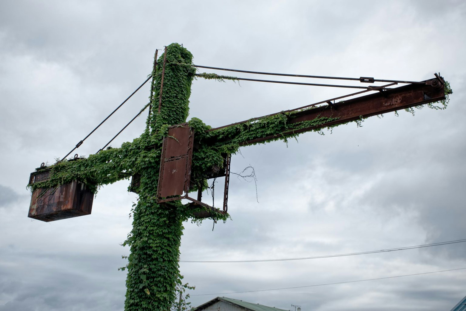 Grue rouillée couverte de vignes vertes sous un ciel nuageux