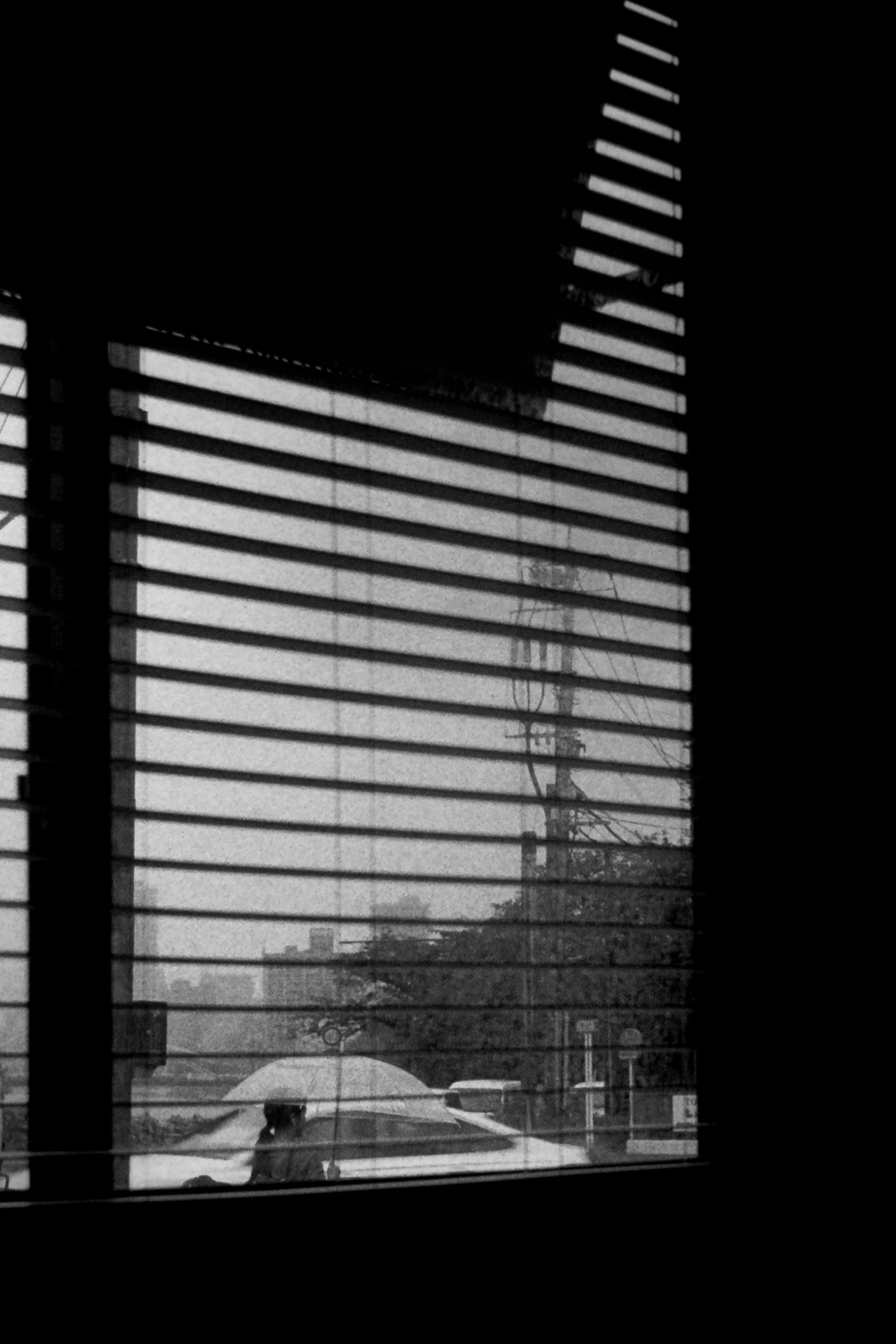 Monochrome view through blinds showing an urban landscape