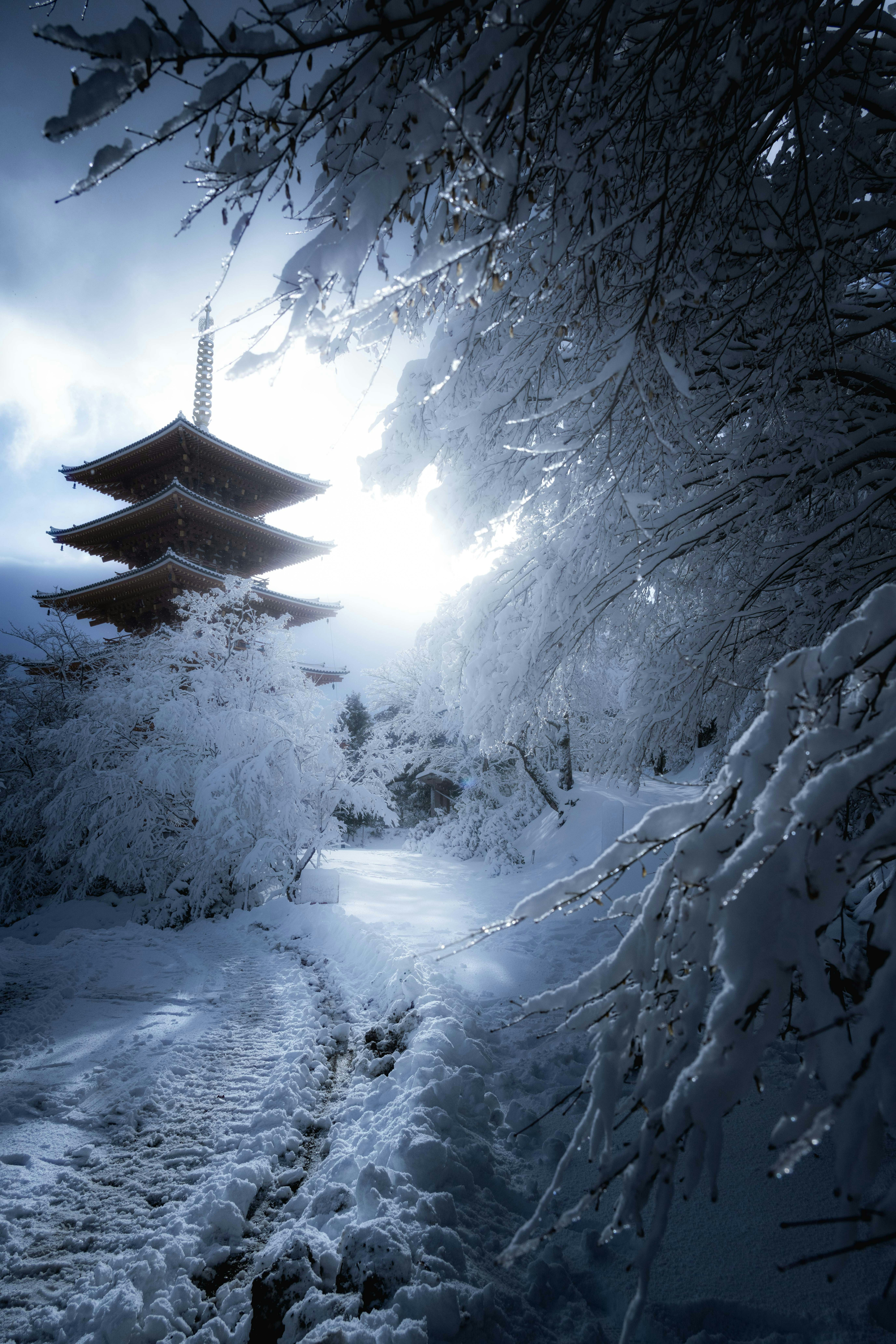 京都冬季雪景：石阶与宝塔远景