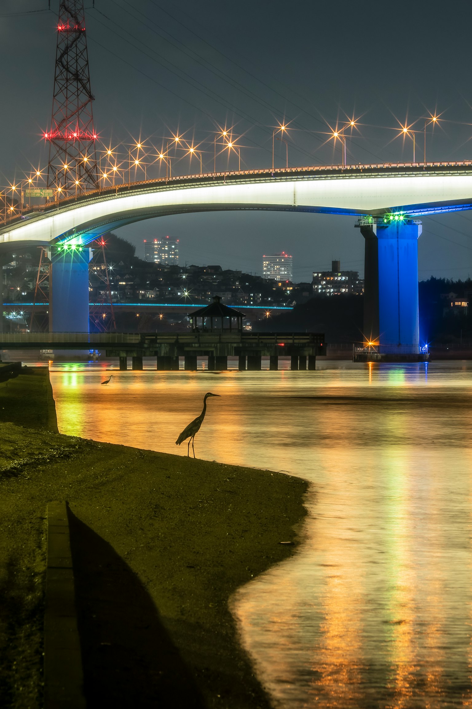 Pemandangan malam jembatan di atas sungai dengan lampu biru dan hijau yang memantul di air seekor bangau berdiri di tepi