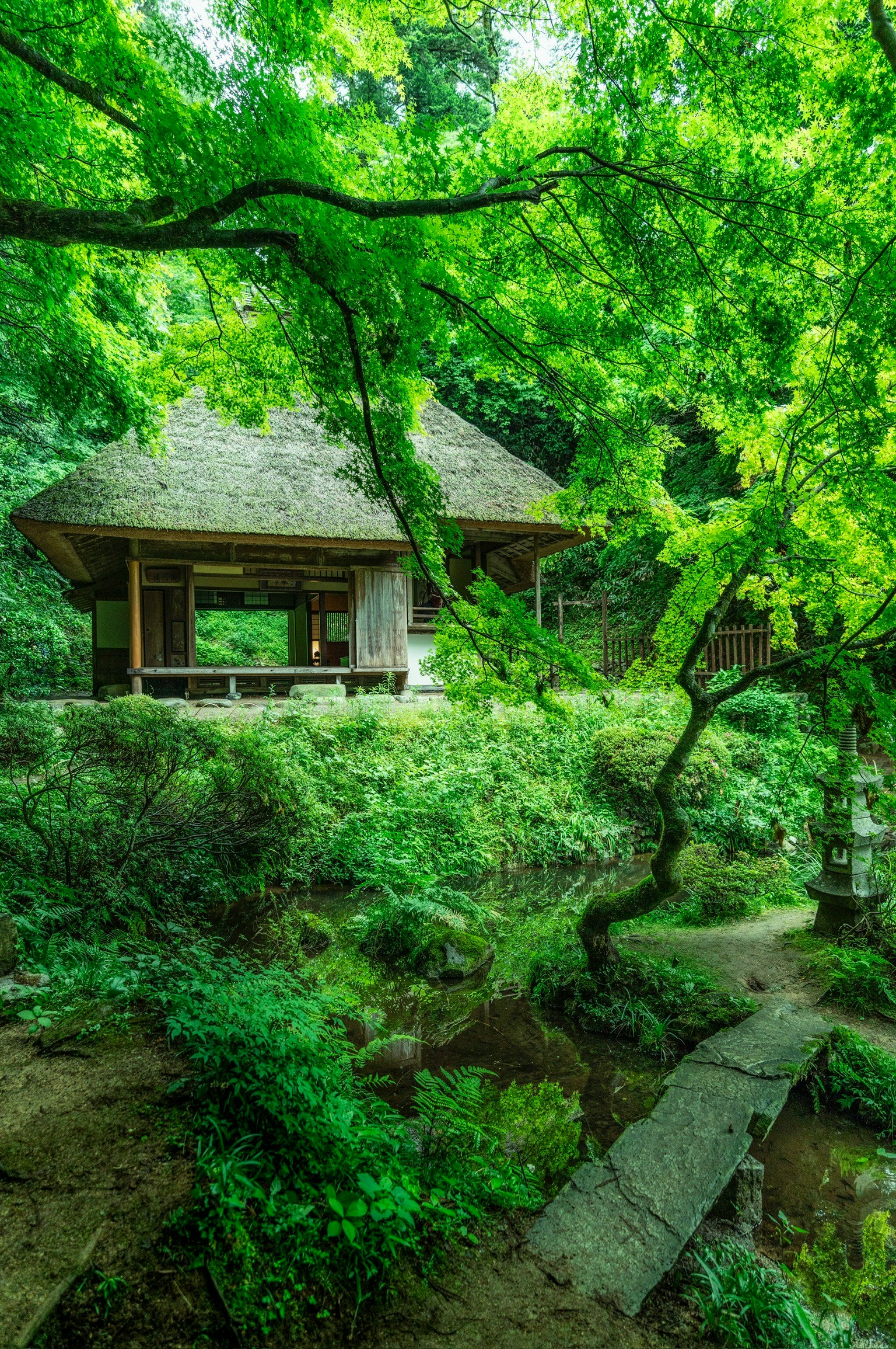 Traditionelles japanisches Gebäude umgeben von üppigem grünem Garten