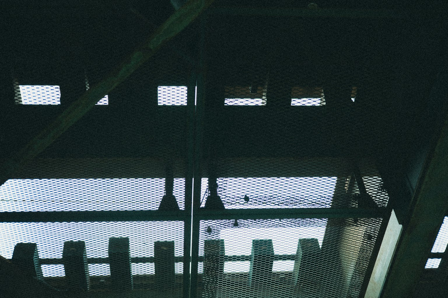 photo-QOYT7FsvhHKukZForgzq-image