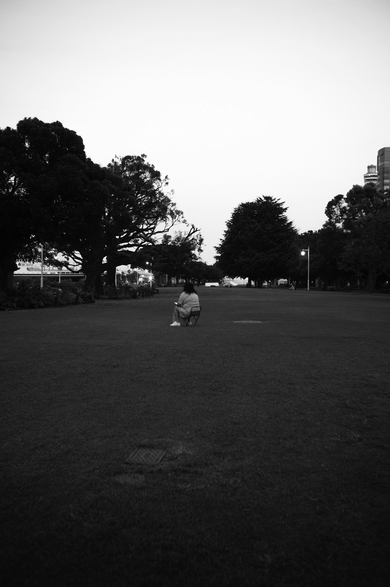 公園の広い芝生と木々の並ぶ散歩道