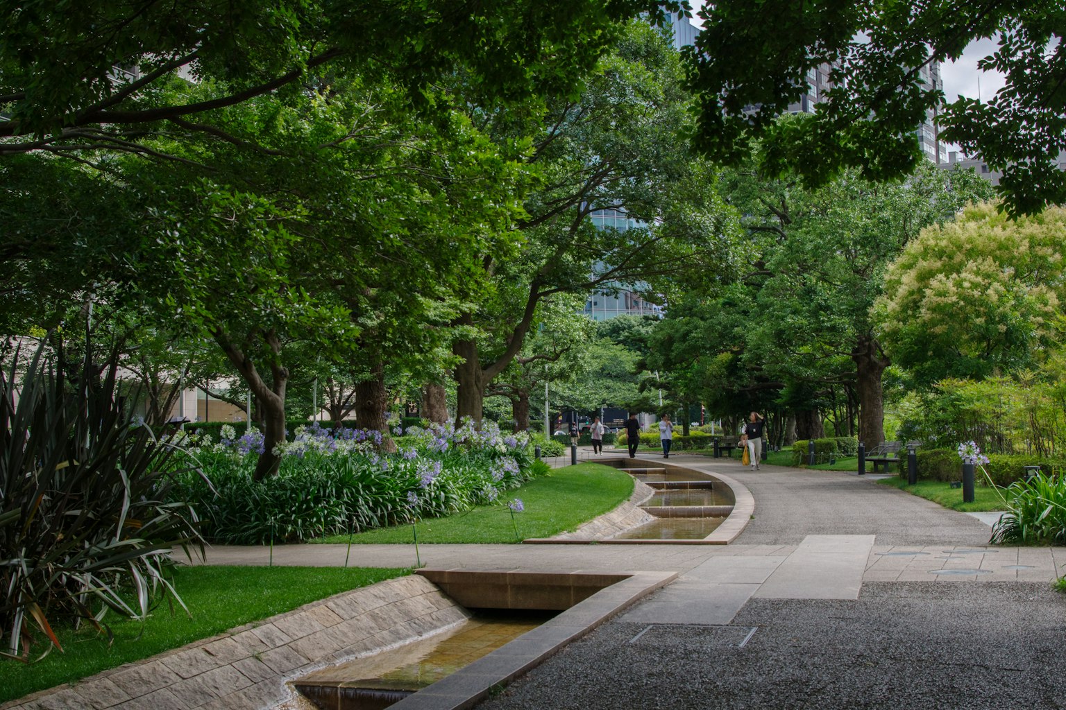 郁郁蔥蔥的公園小道和流動的水