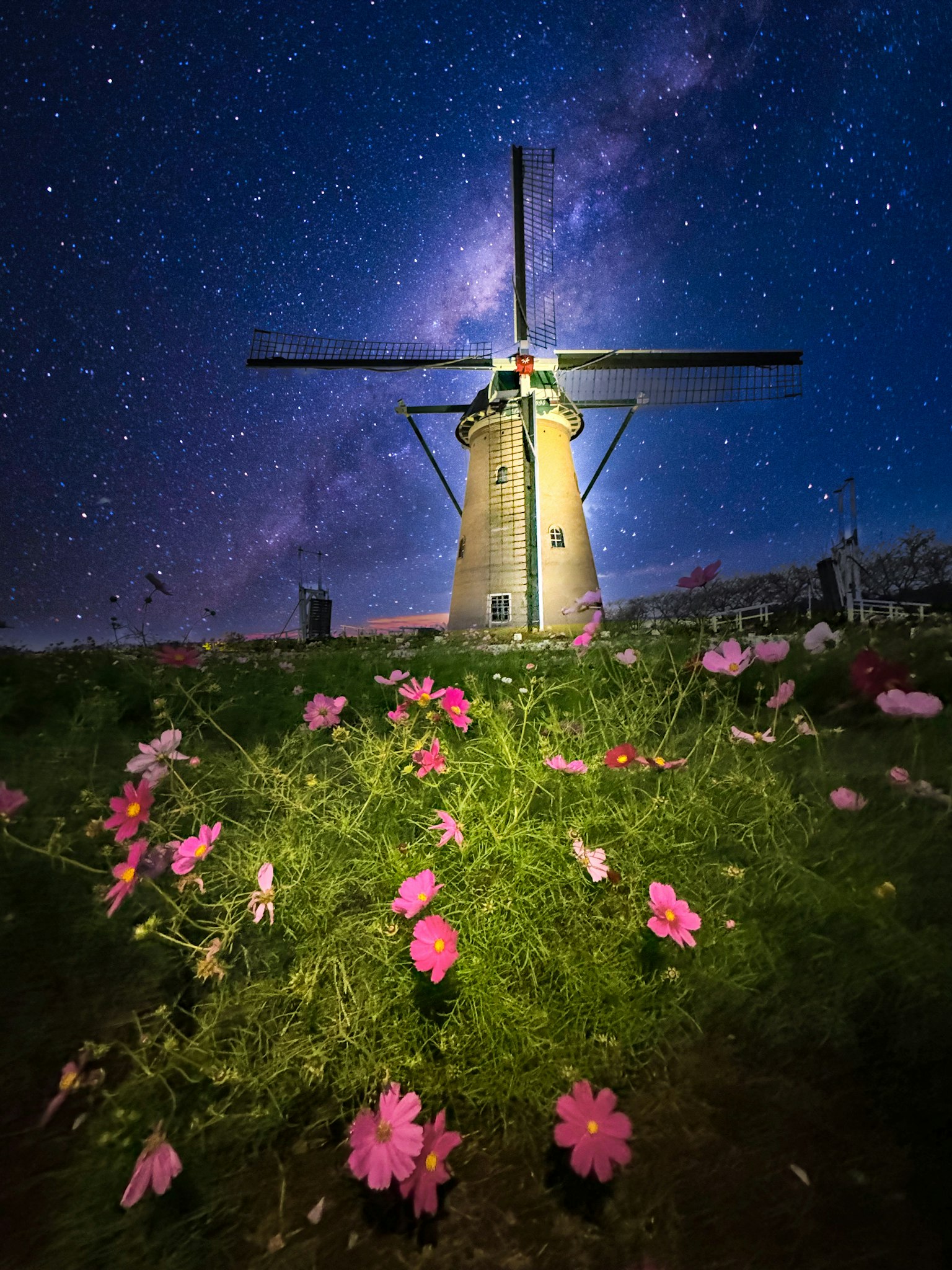 Mulino sotto un cielo stellato con fiori colorati in primo piano