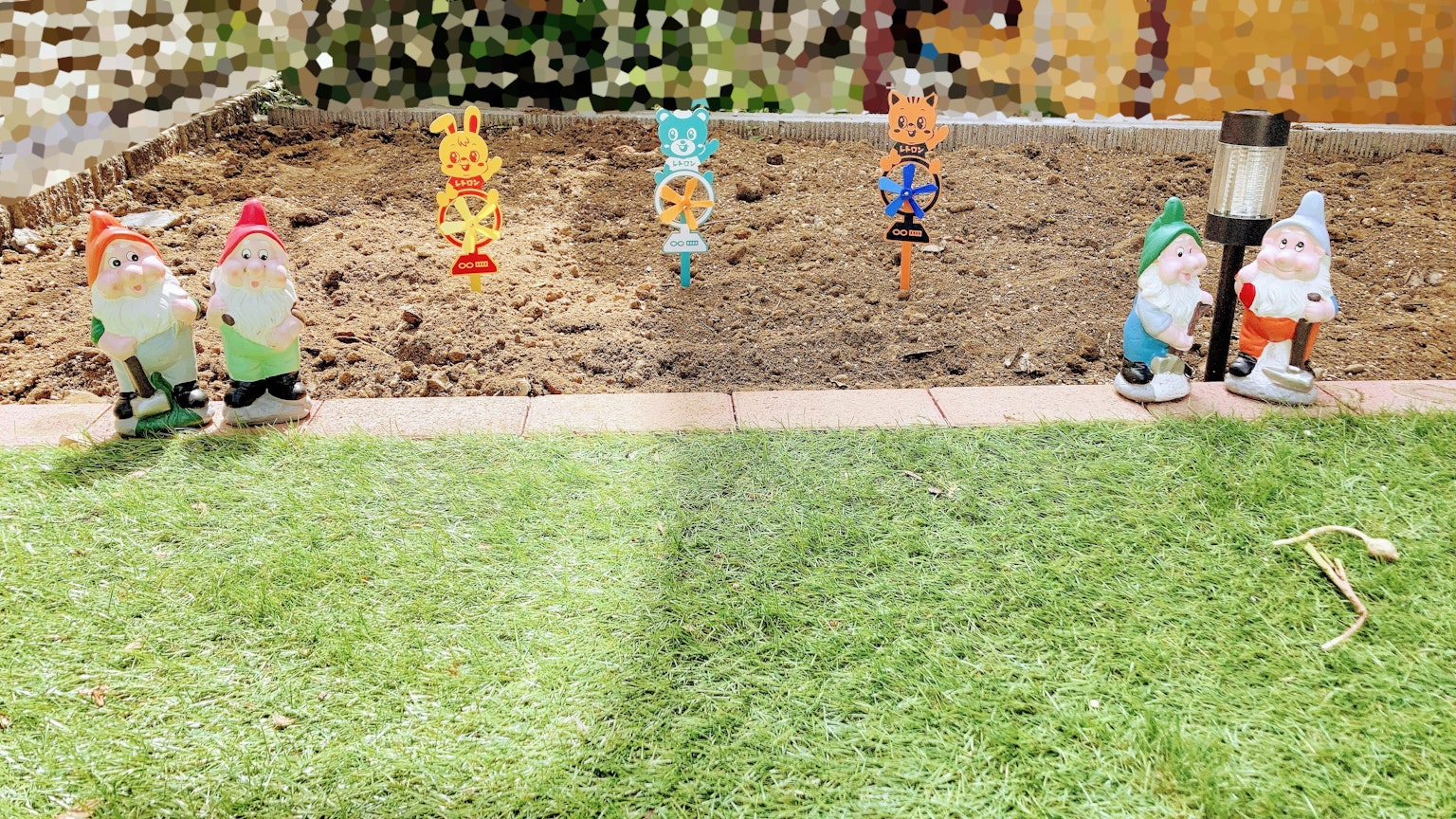 Gnomes taman berwarna-warni dan dekorasi di halaman belakang