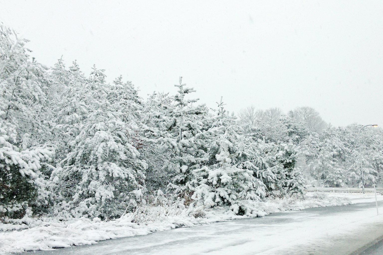 Paisaje de árboles y carretera cubiertos de nieve