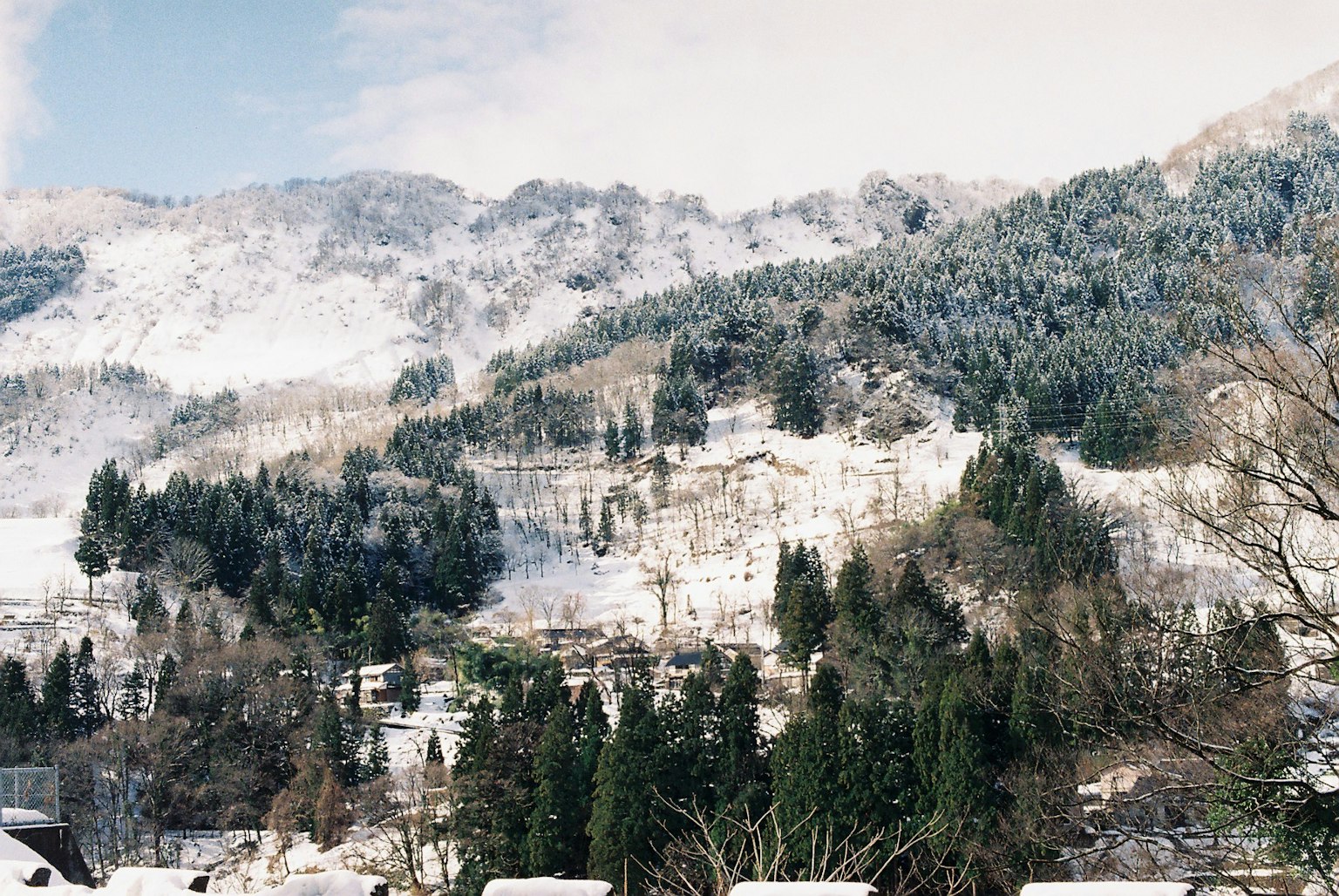 Snow-covered mountains with green trees in the foreground