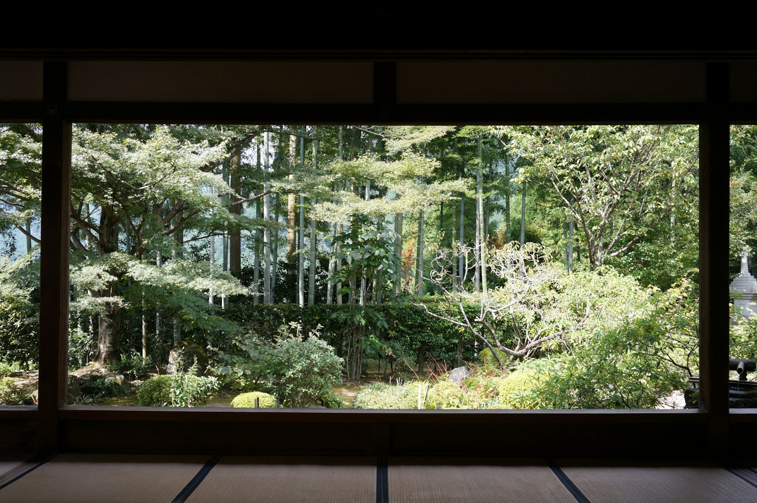 ทิวทัศน์ของสวนญี่ปุ่นผ่านหน้าต่าง