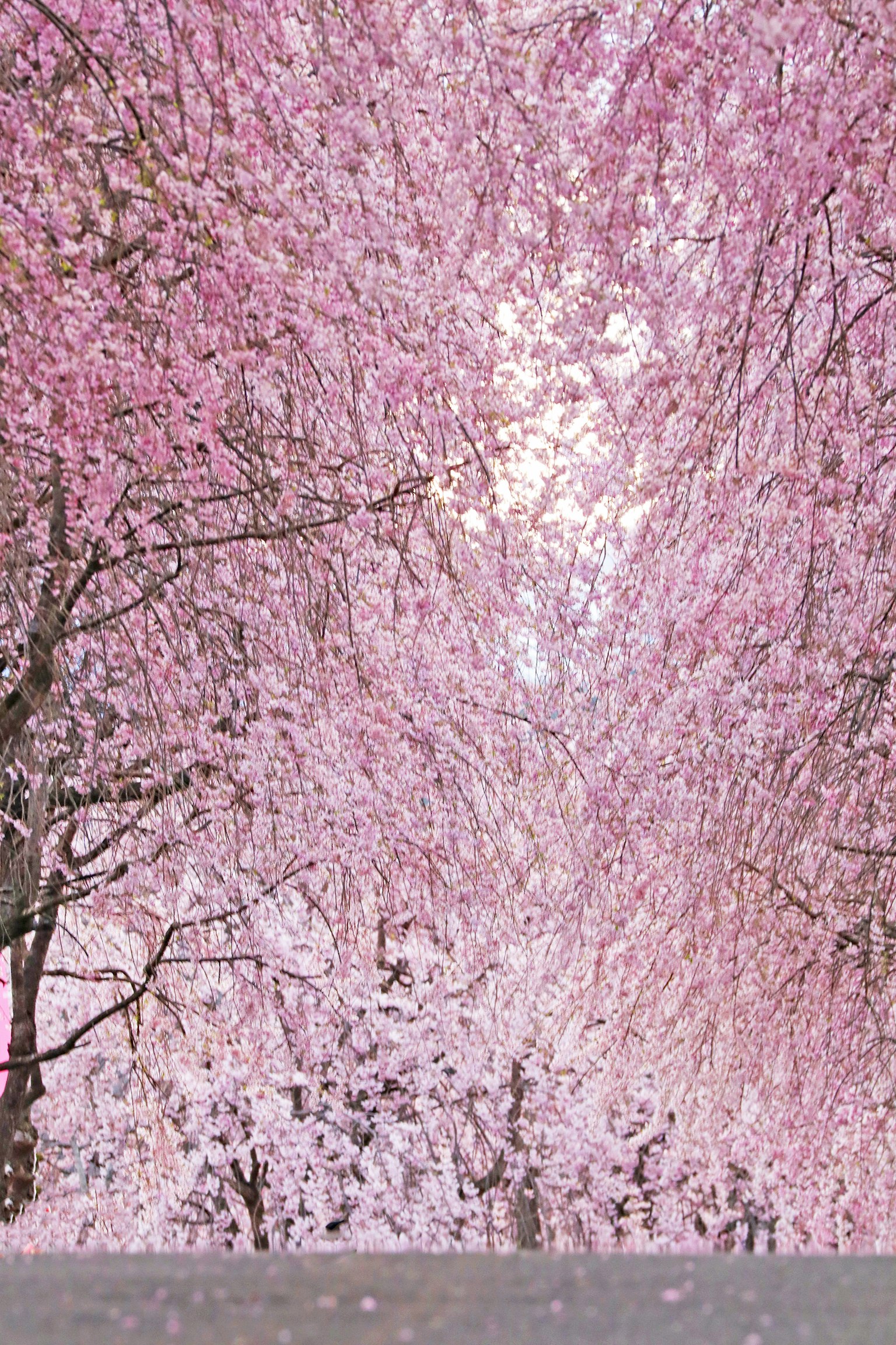 photo-QTYiznv6S7gsjsL65bJn-image