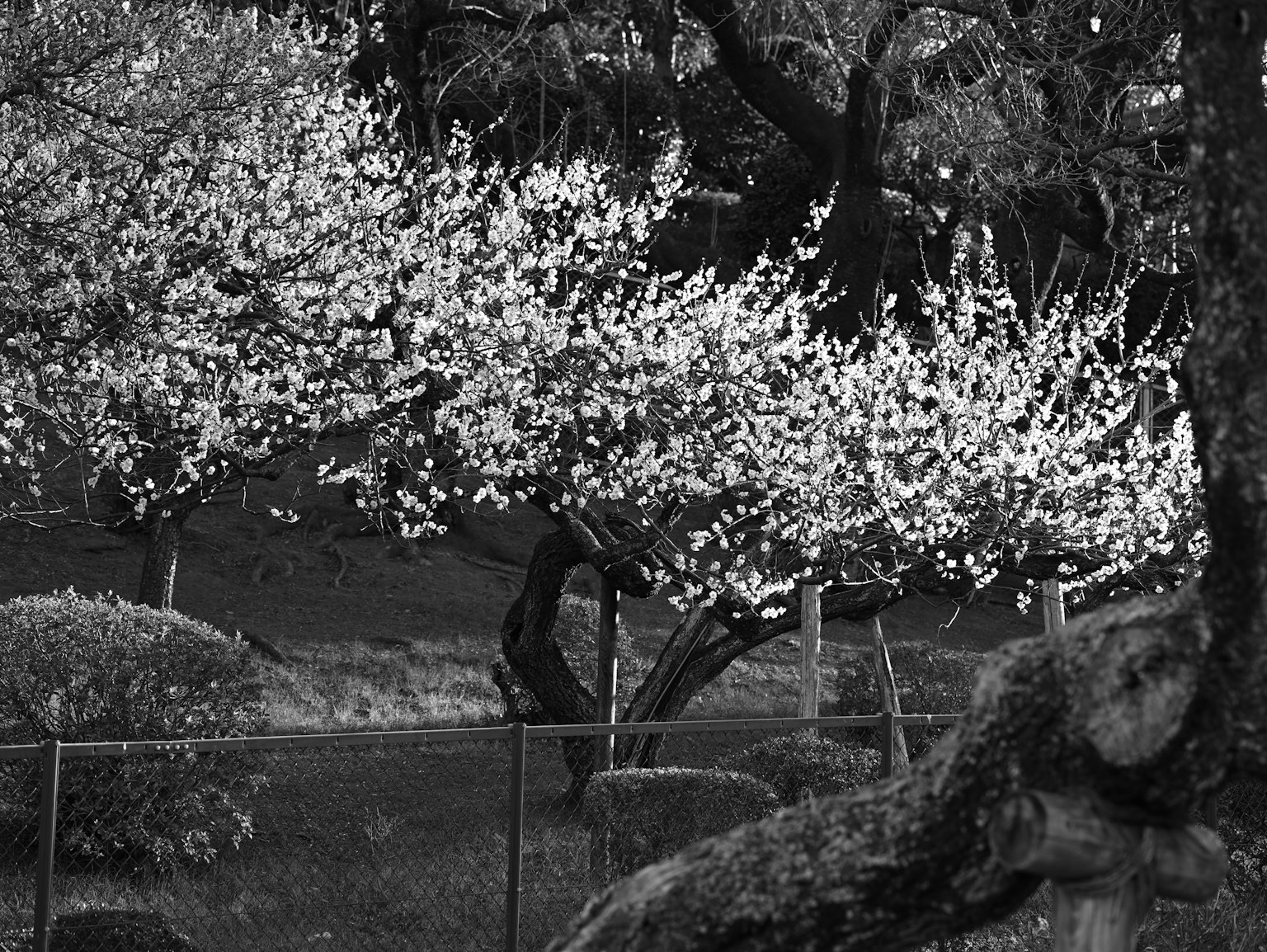 photo-QTfQgDHR8DwGX9Tg5vOF-image