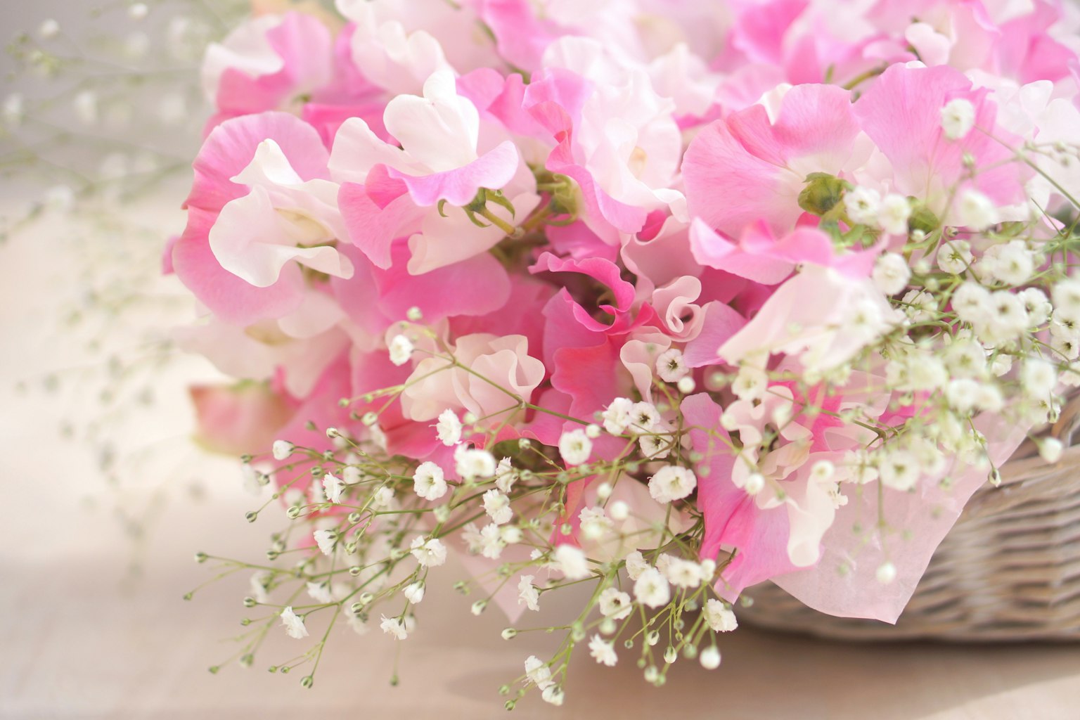 Bouquet de pois de senteur roses et de gypsophile