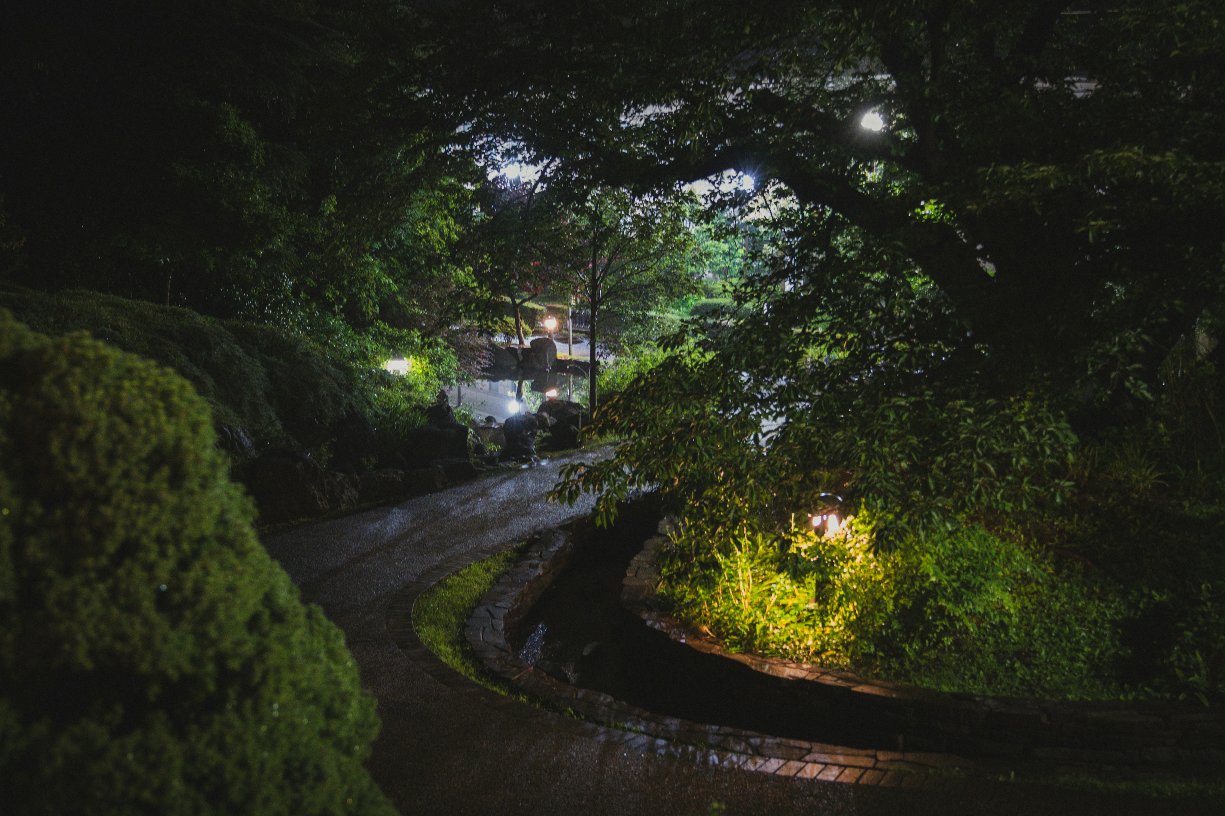 横浜の夜景を望む木々に囲まれた小道