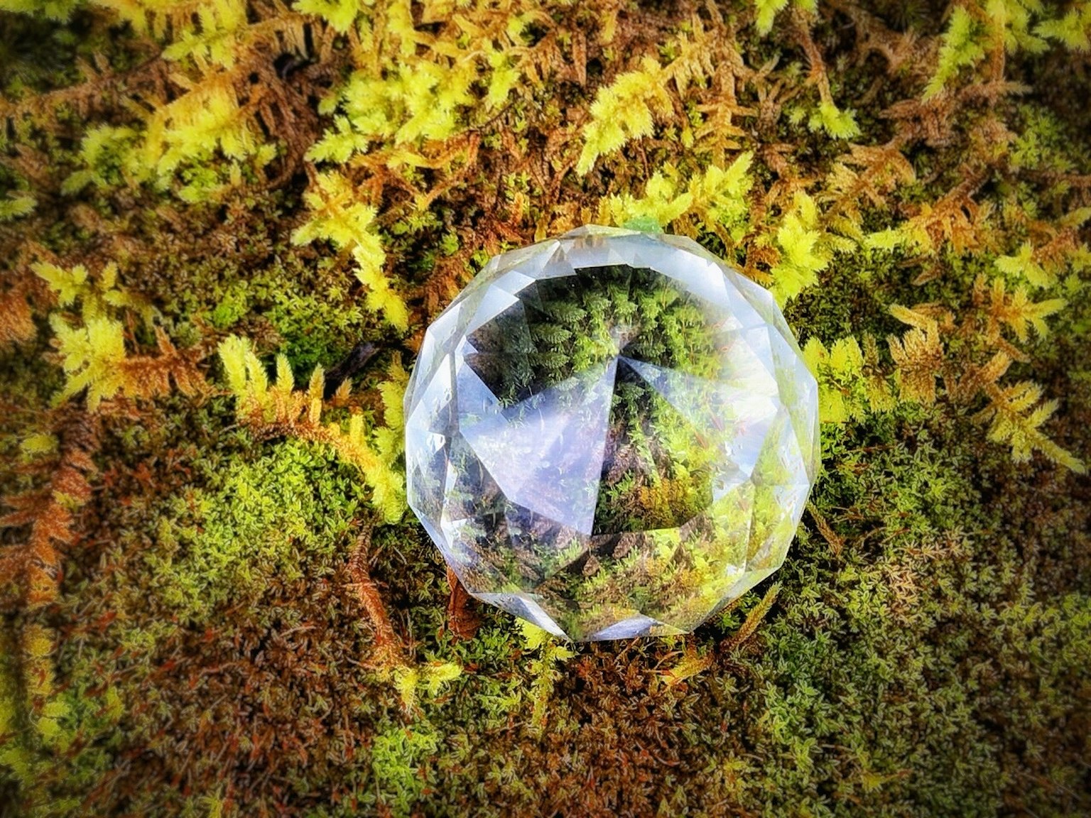 一個透明的水晶狀寶石放在綠色苔蘚上