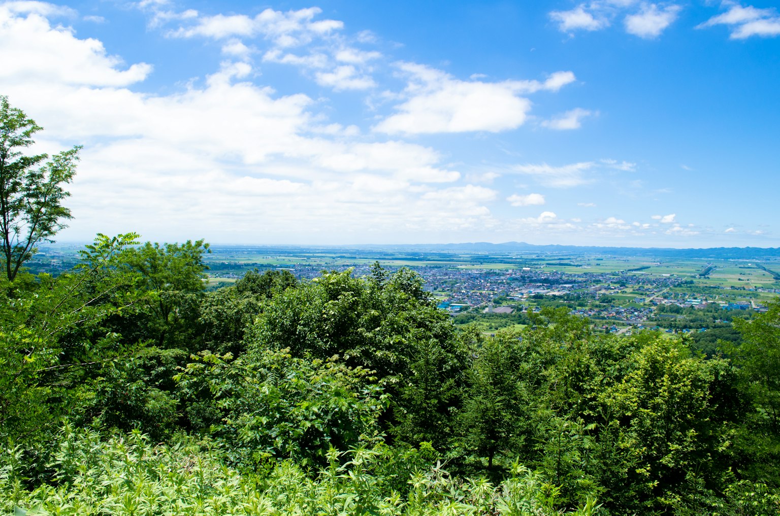 Scenic view of lush greenery and a bright blue sky