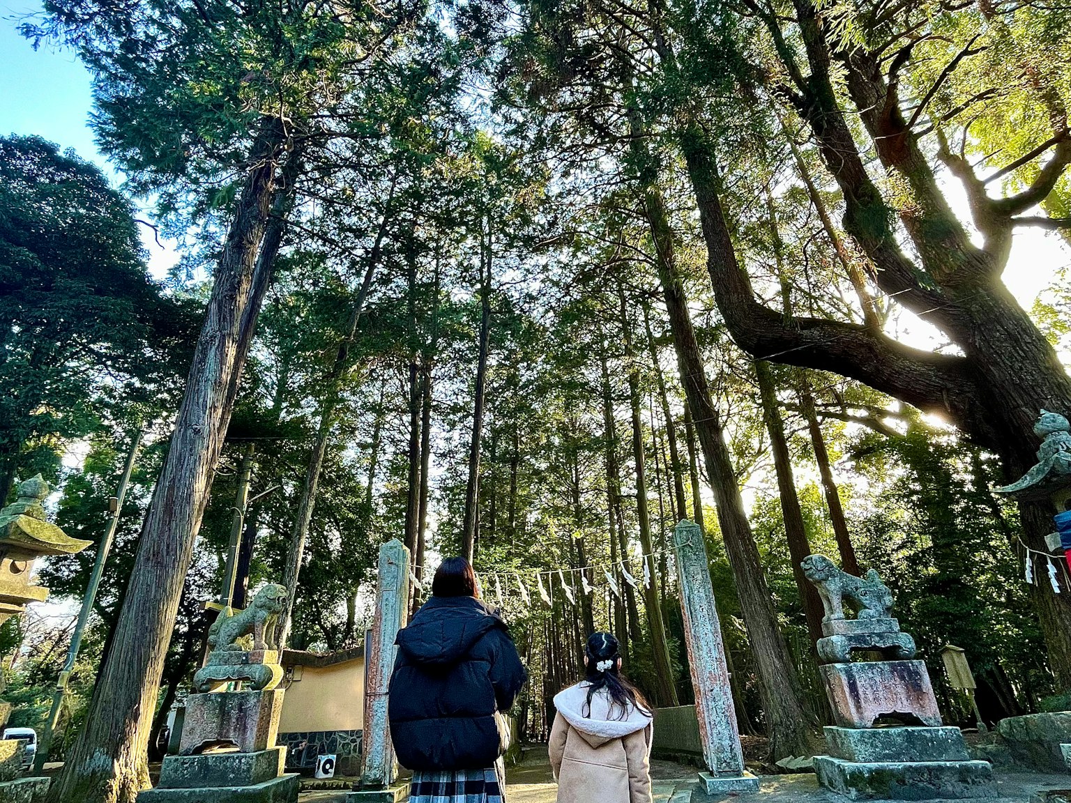 Deux personnes marchant sur un chemin entouré de grands arbres dans un cadre serein