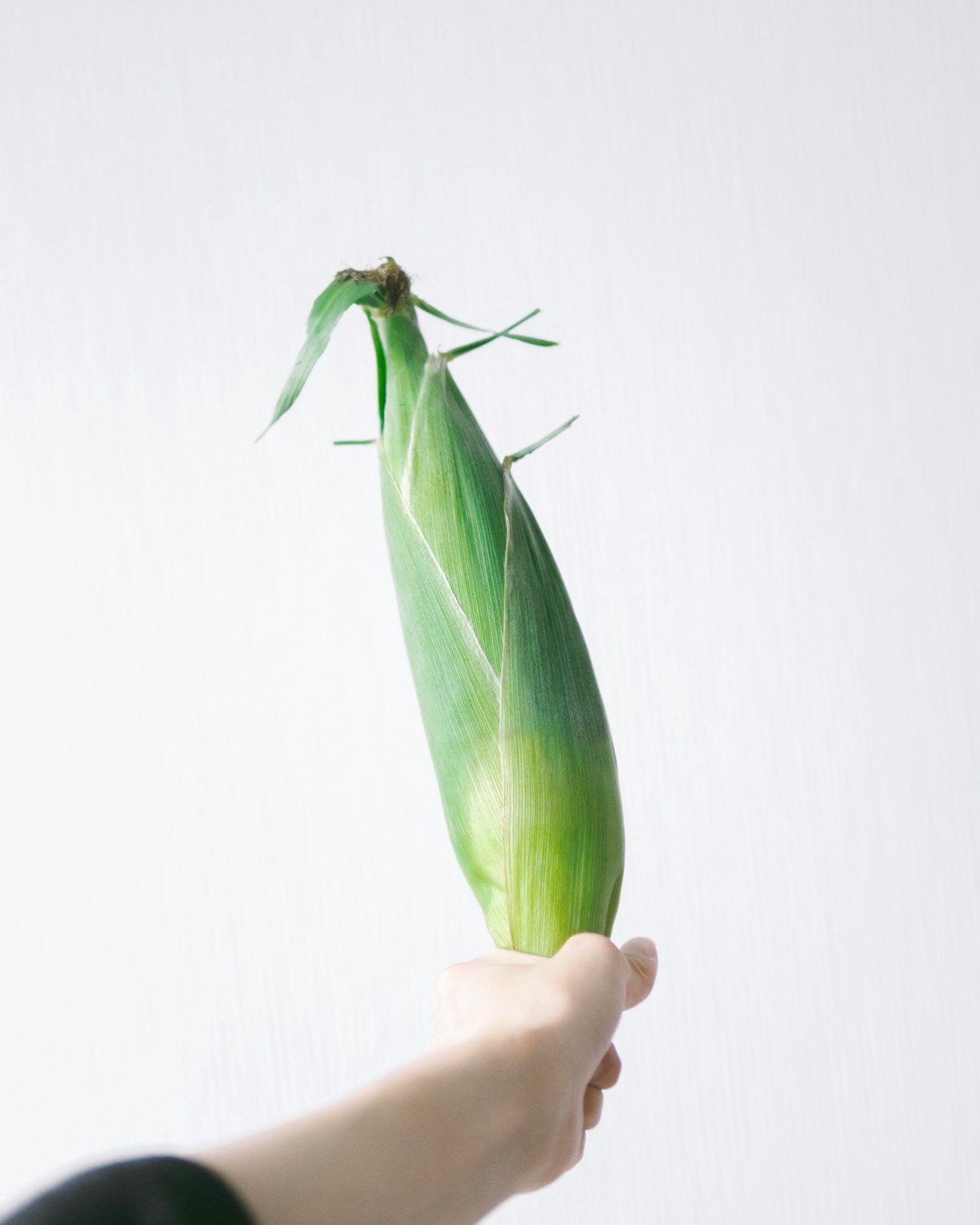 手中拿著的嫩玉米棒