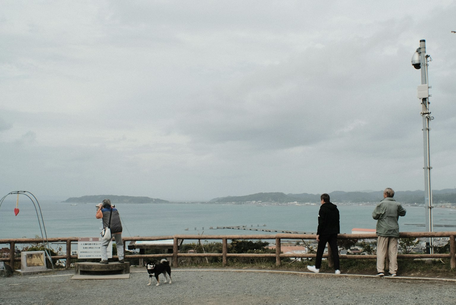 Personas y un perro mirando al mar