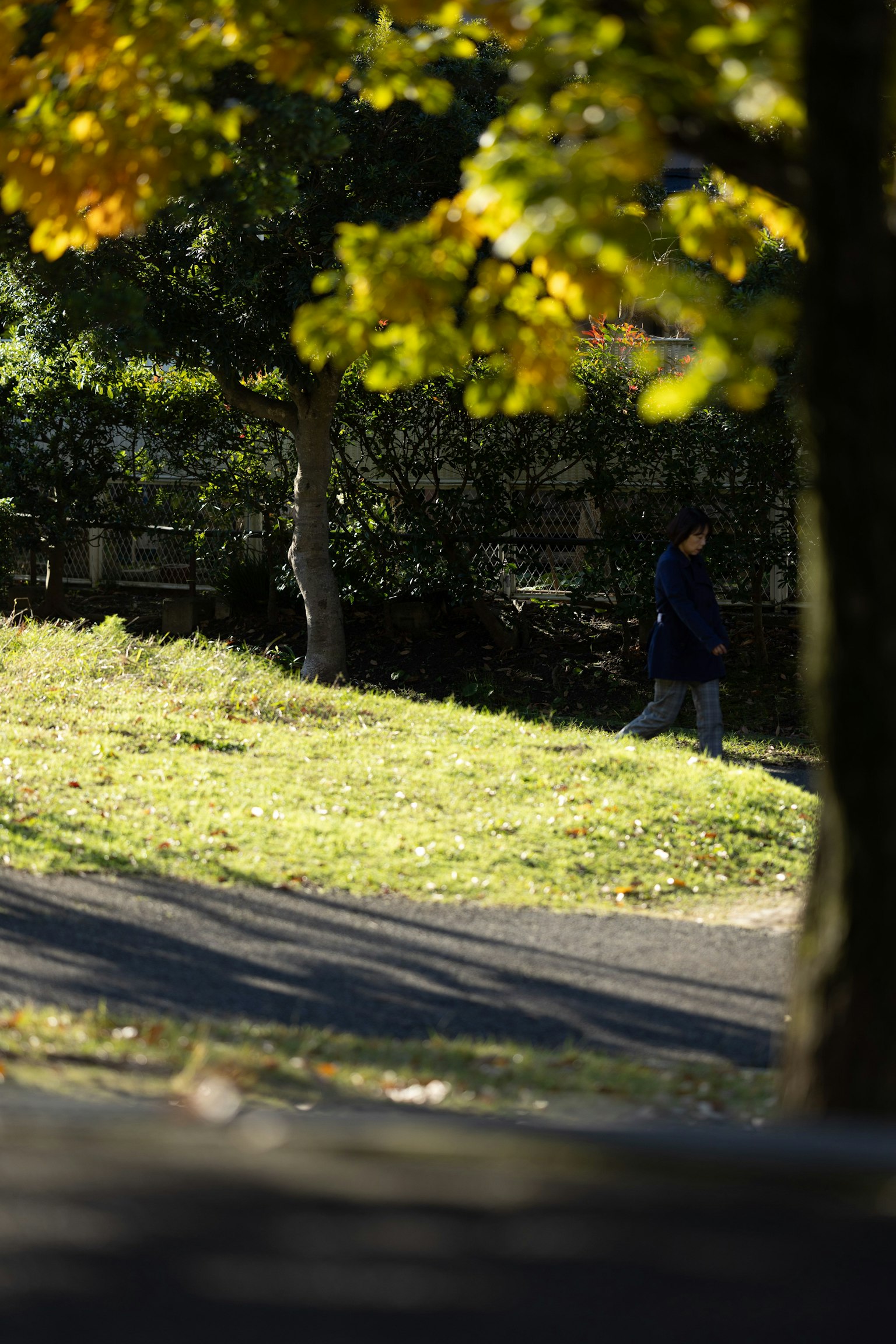 Una persona che cammina in un parco autunnale con alberi colorati