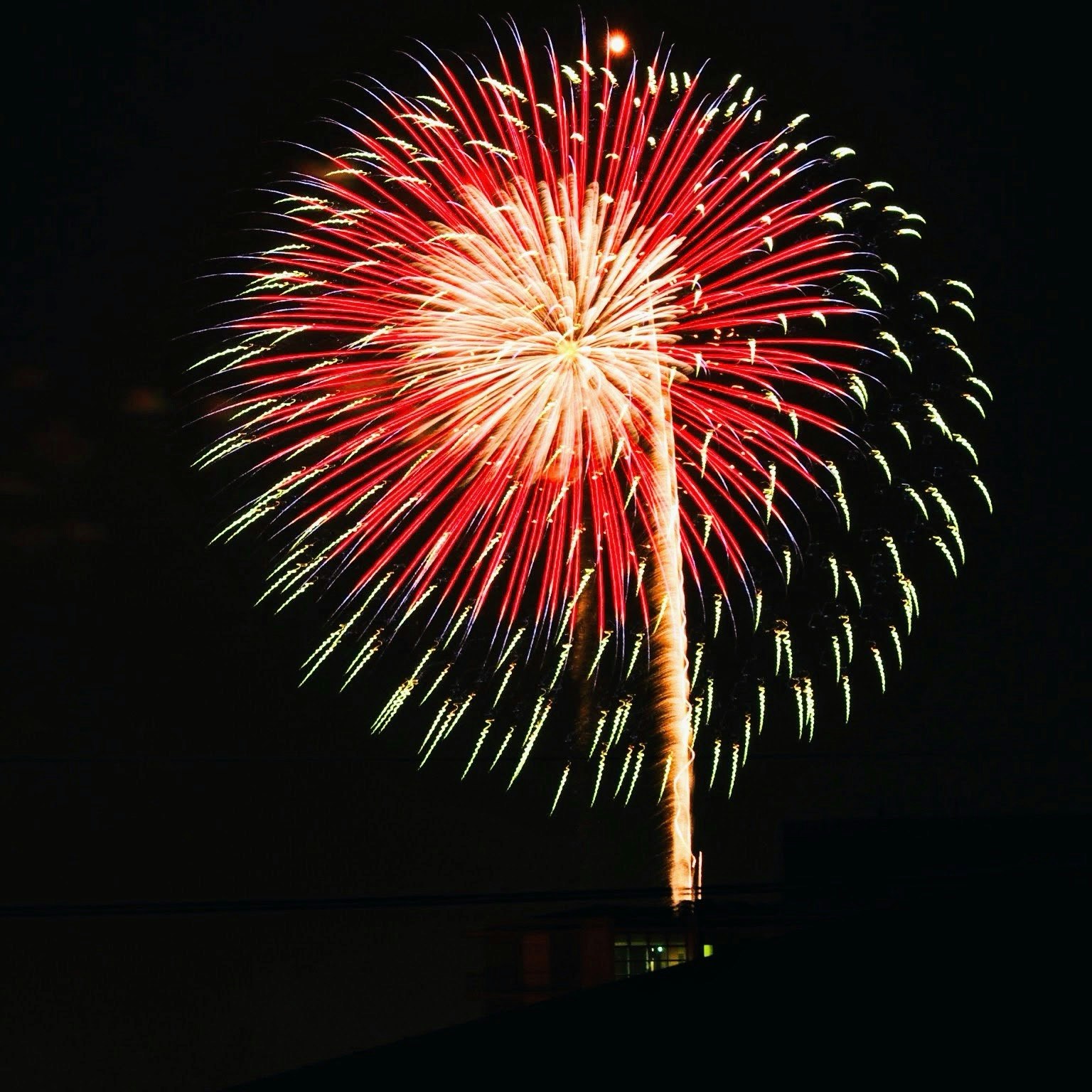 Un fuoco d'artificio rosso e bianco esplode nel cielo notturno