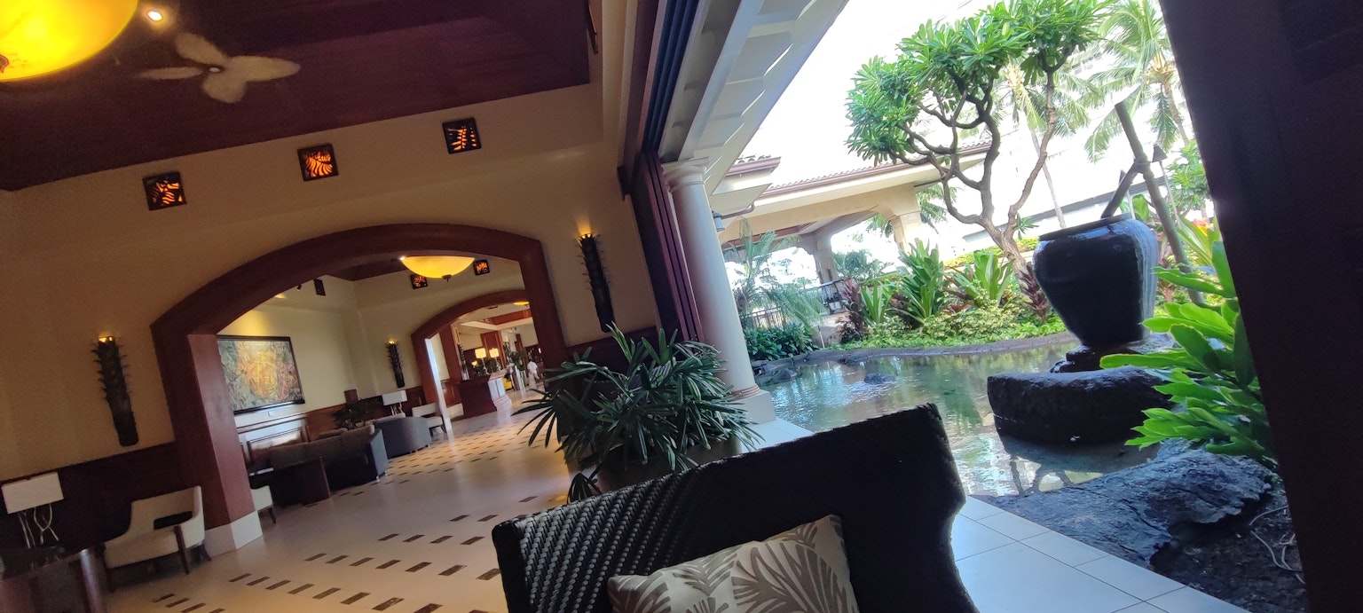 Vista di un lobby di un resort con piante e paesaggio esterno