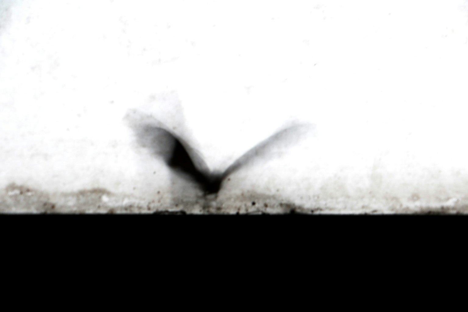 Silhouette cánh trừu tượng trong sự tương phản đen trắng