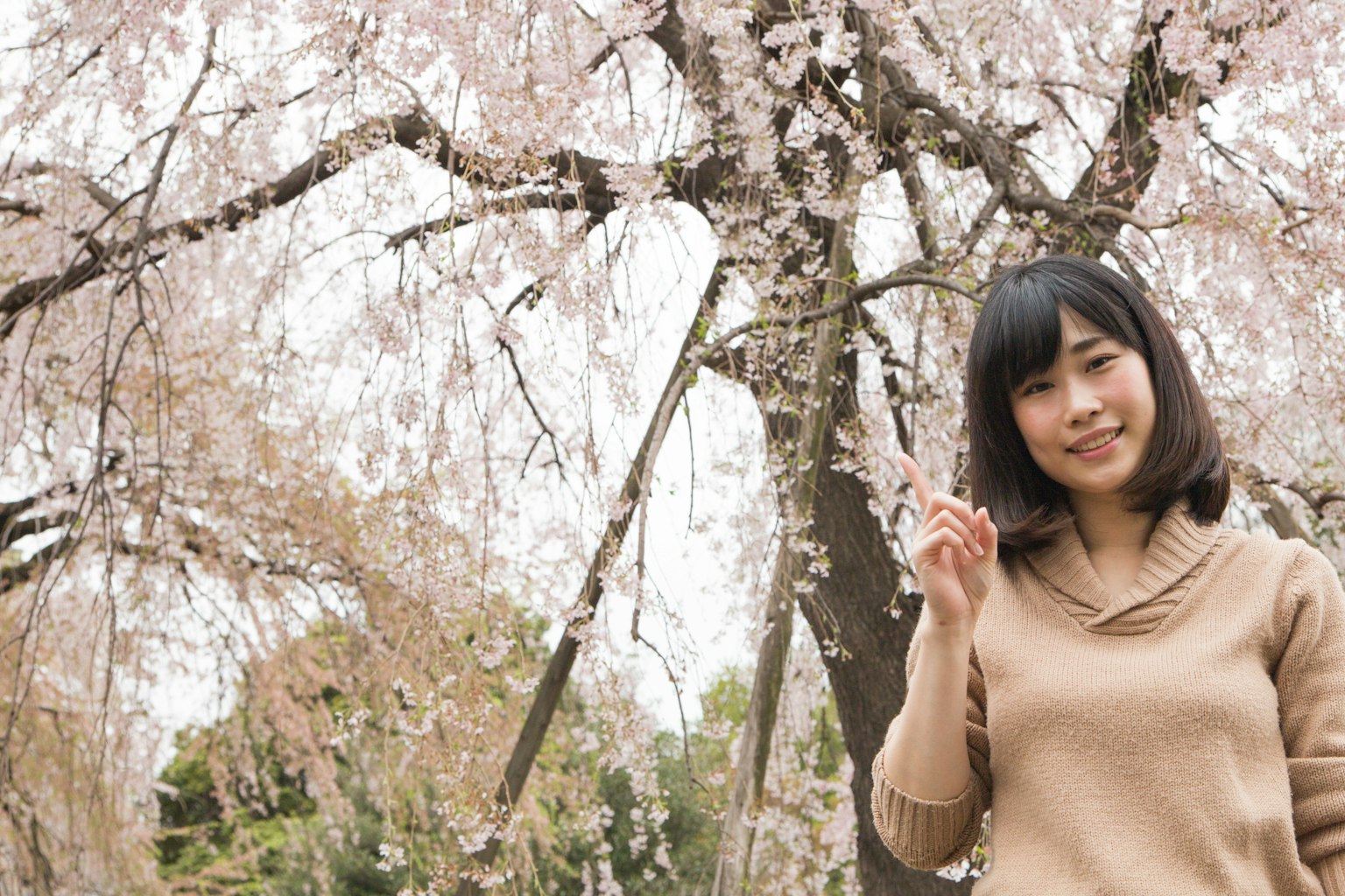 一位微笑的女性站在櫻花樹前