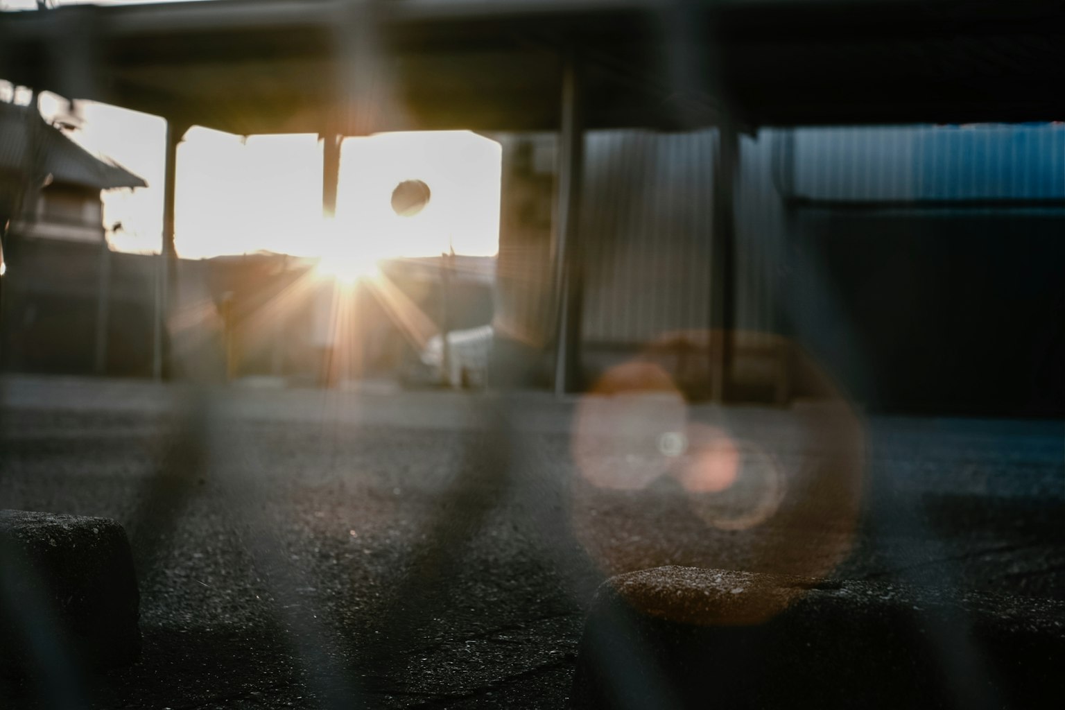 夕日が差し込む網の向こうの風景