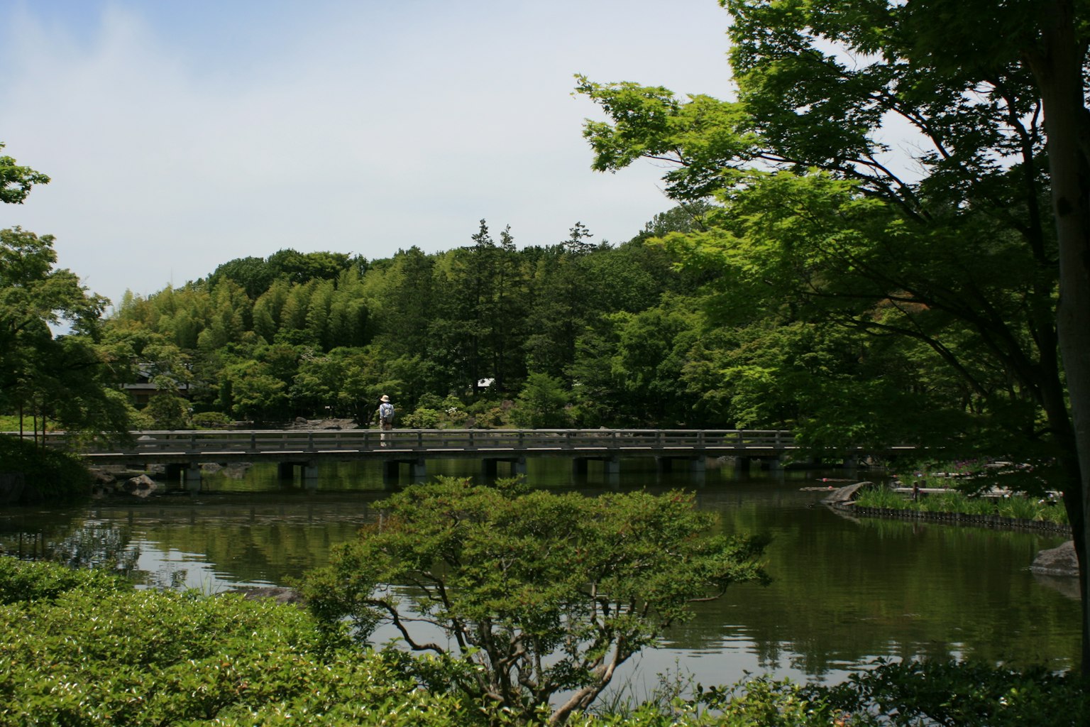 Malersicher Blick auf eine Brücke über einen Teich in einem ruhigen Park umgeben von üppigem Grün