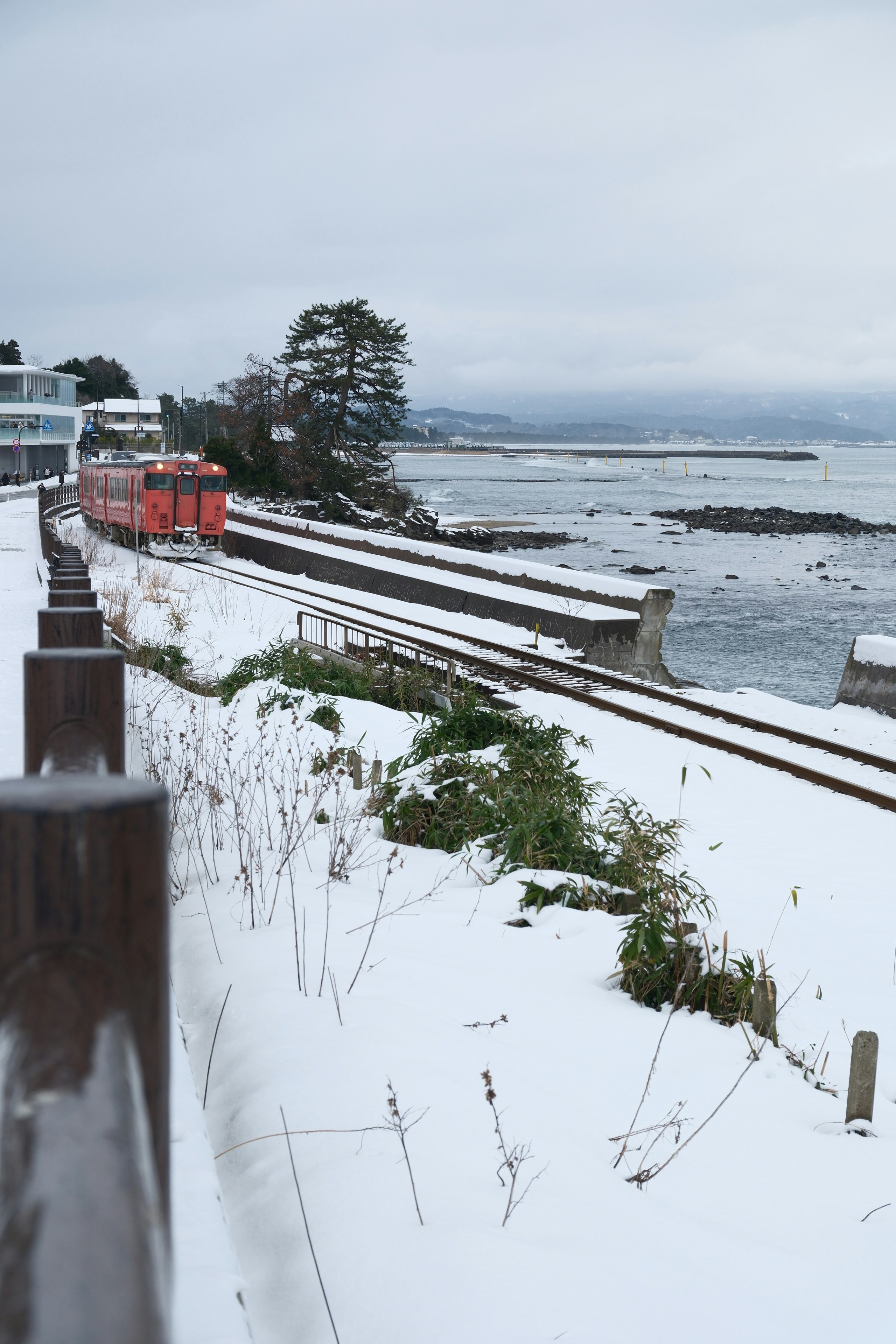 雪の雨晴海岸を走る列車のある海沿いの景色