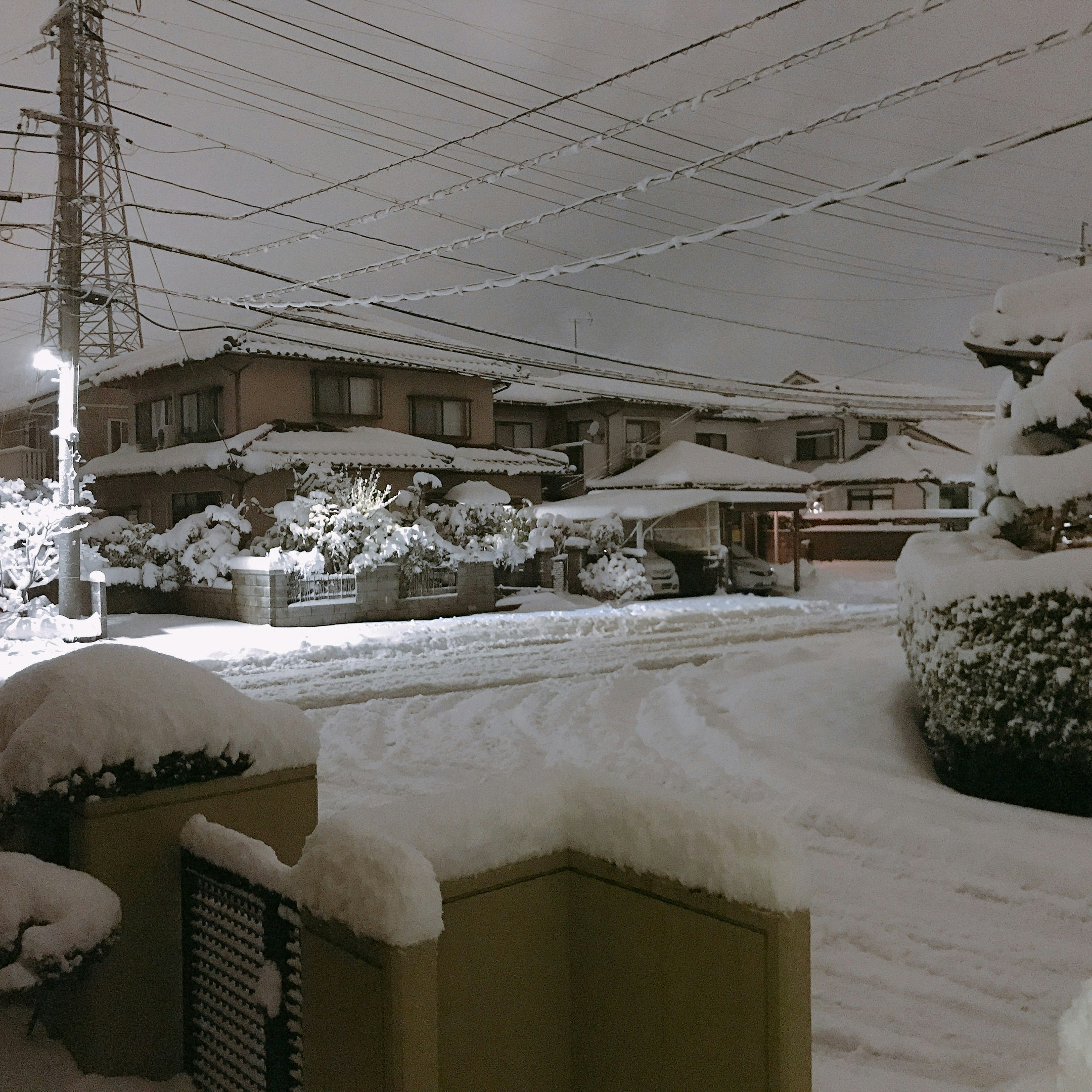 雪に覆われた住宅街の路地と庭先