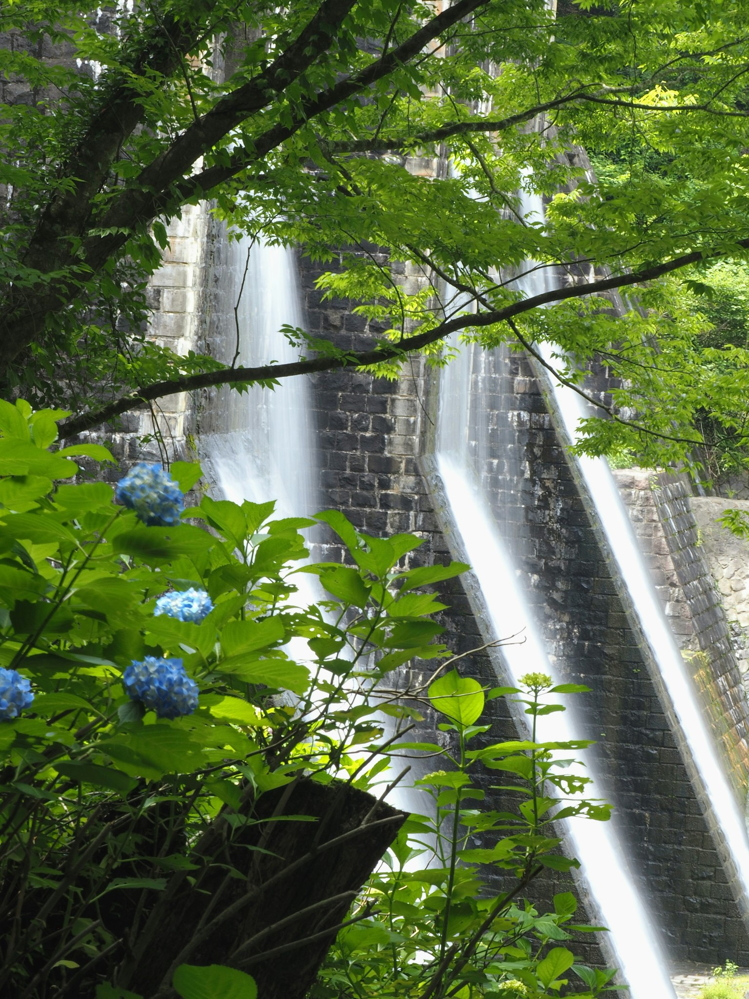Pemandangan indah dengan bunga biru dan air terjun dikelilingi pohon hijau