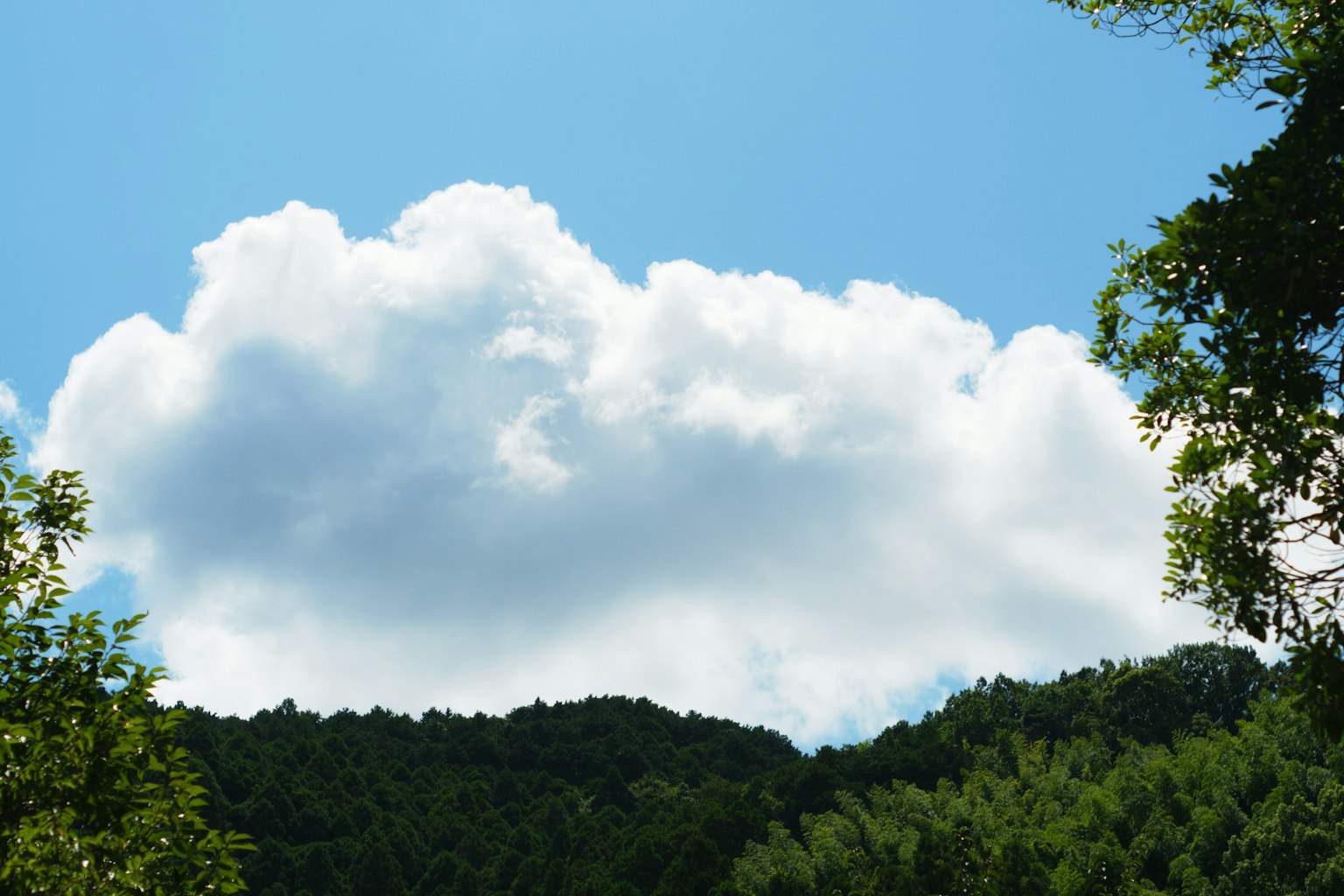 A landscape featuring a blue sky and fluffy white clouds