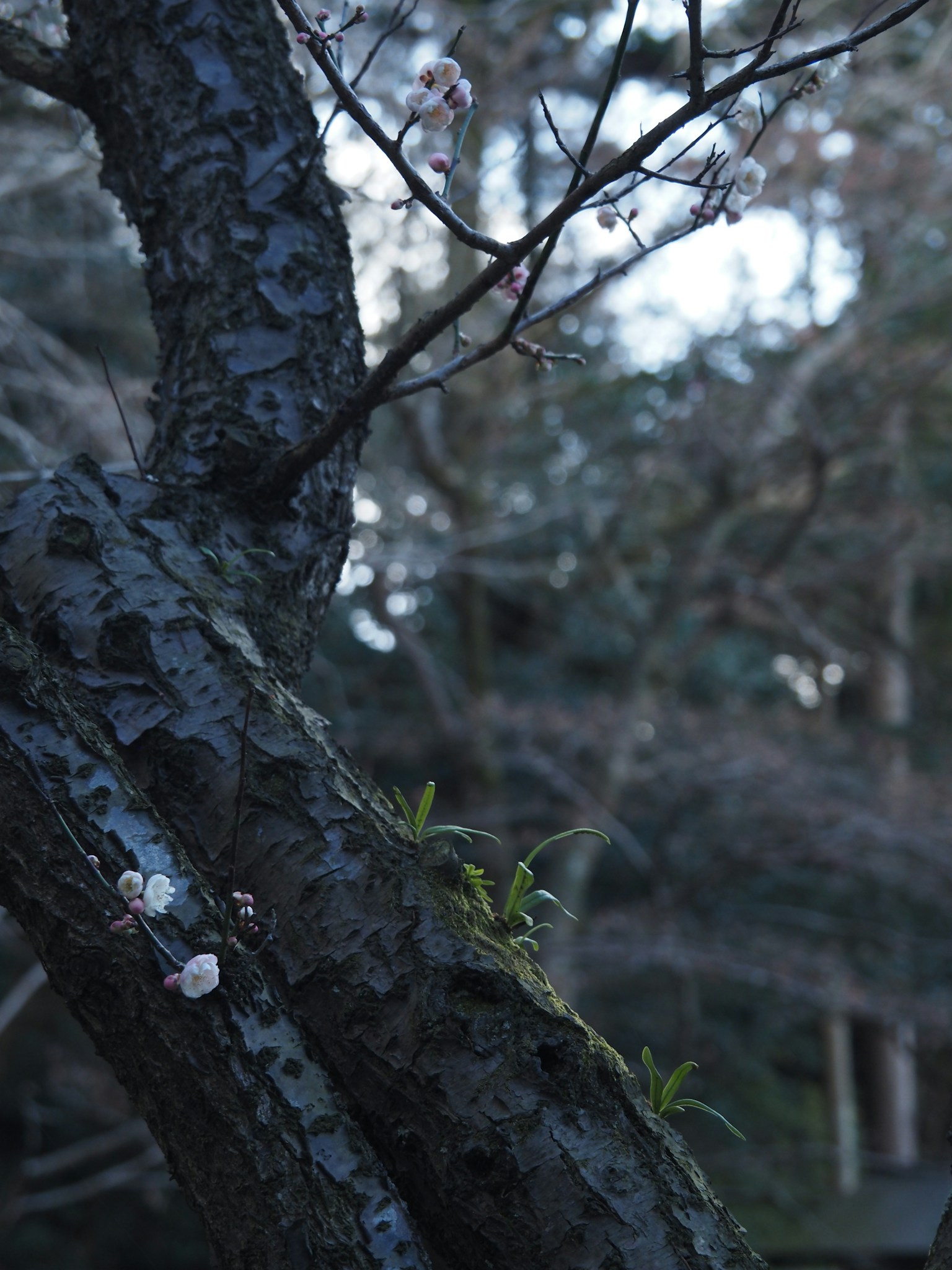 photo-QYzQ4L0FNEi6rvLXu8bG-image